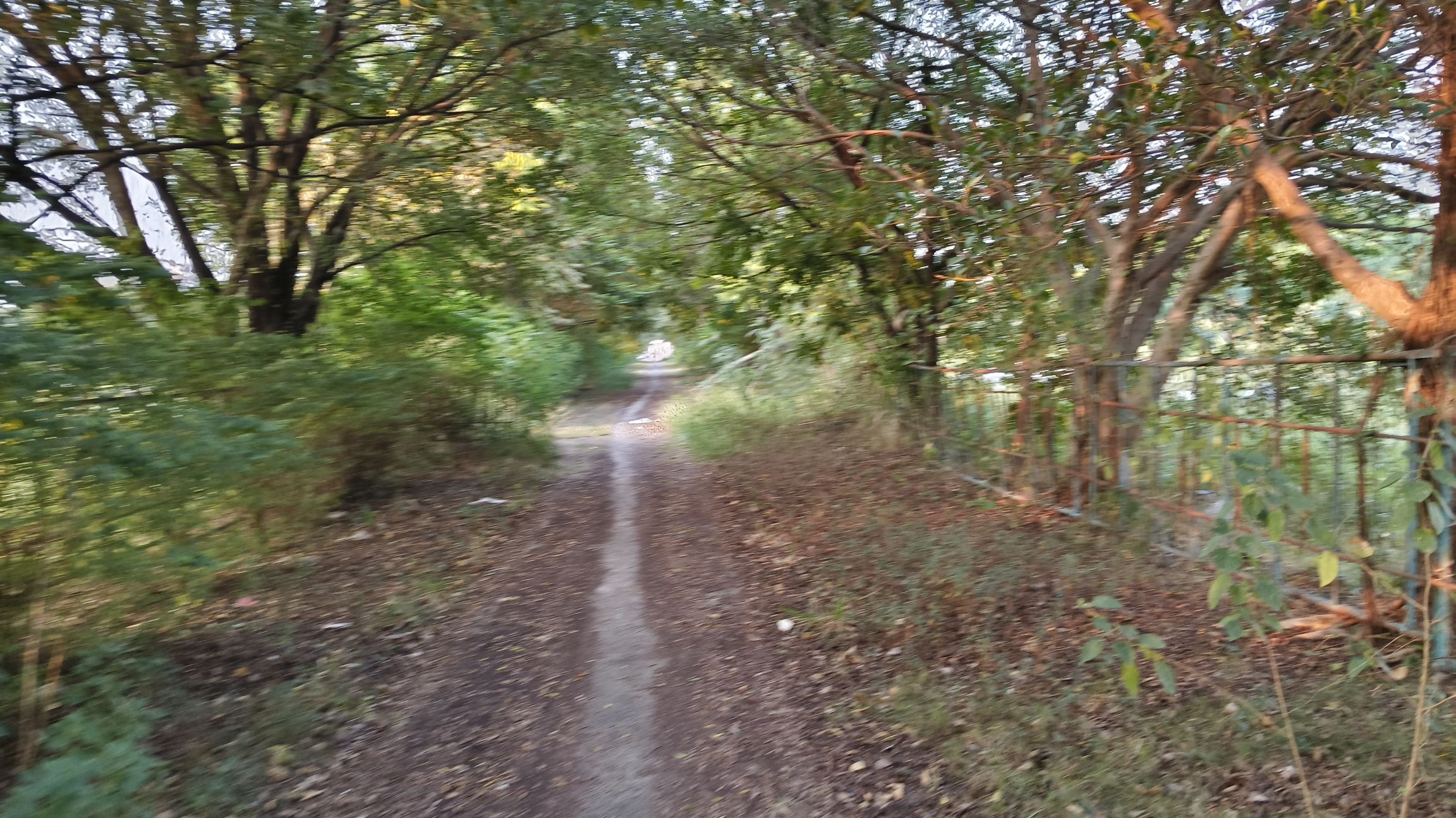 庵埠镇龙川公园旅行图片 2