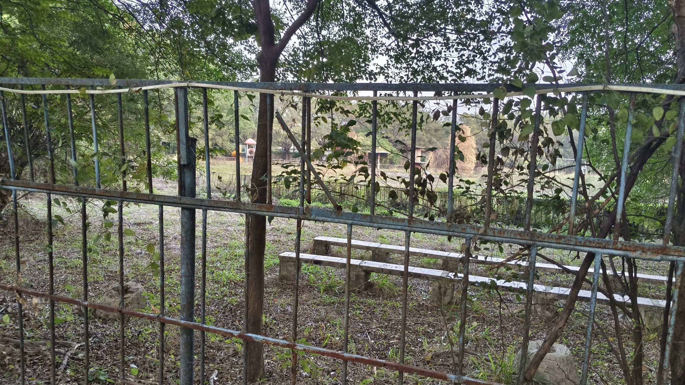 庵埠镇龙川公园旅行图片 1