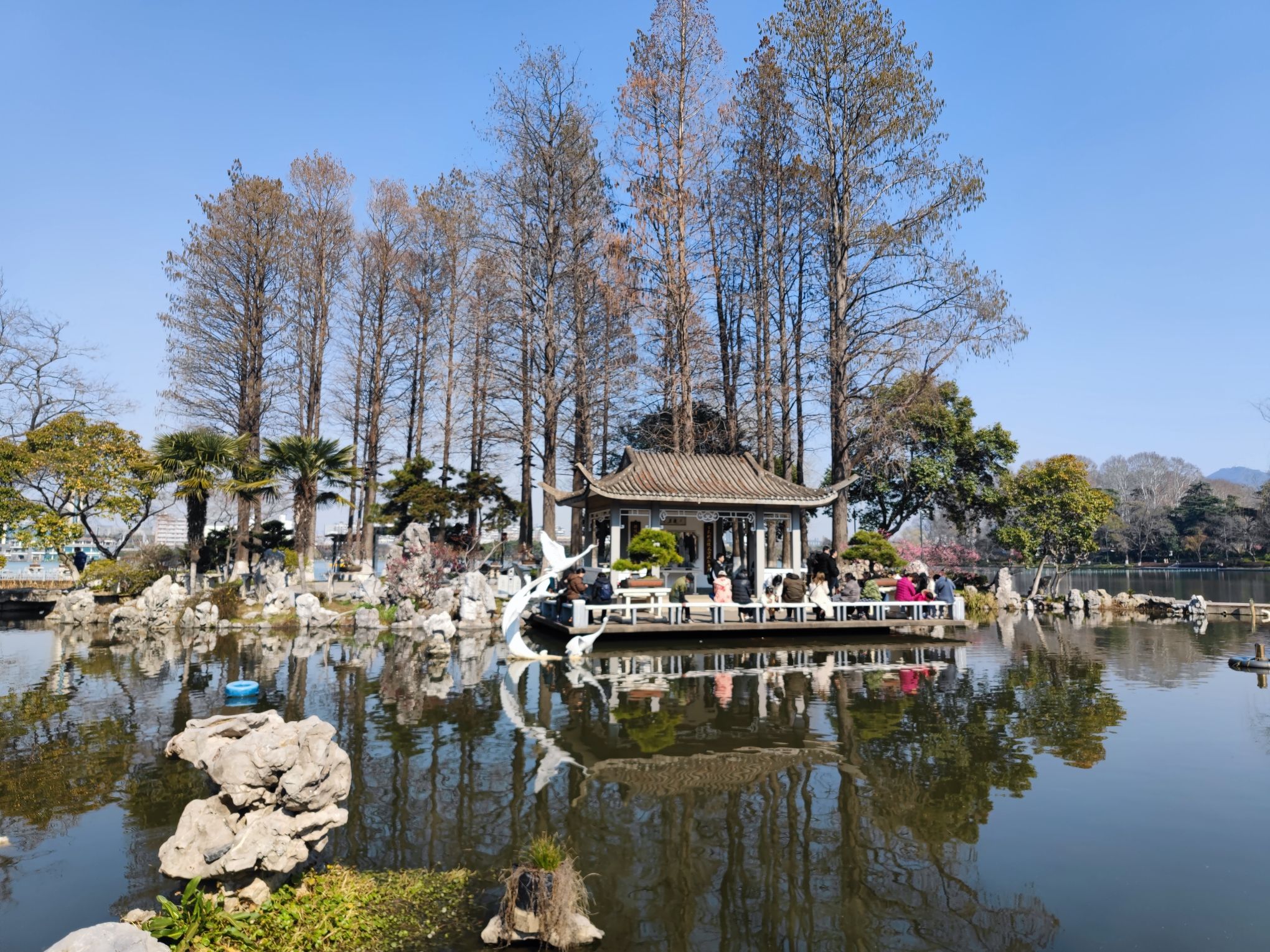 玄武湖景区-柳湾观鱼