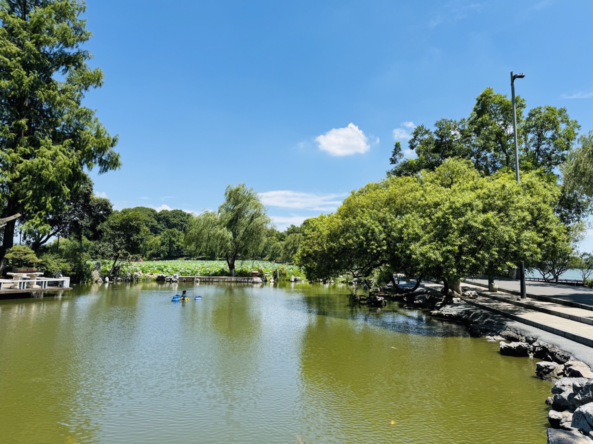 玄武湖景区-柳湾观鱼