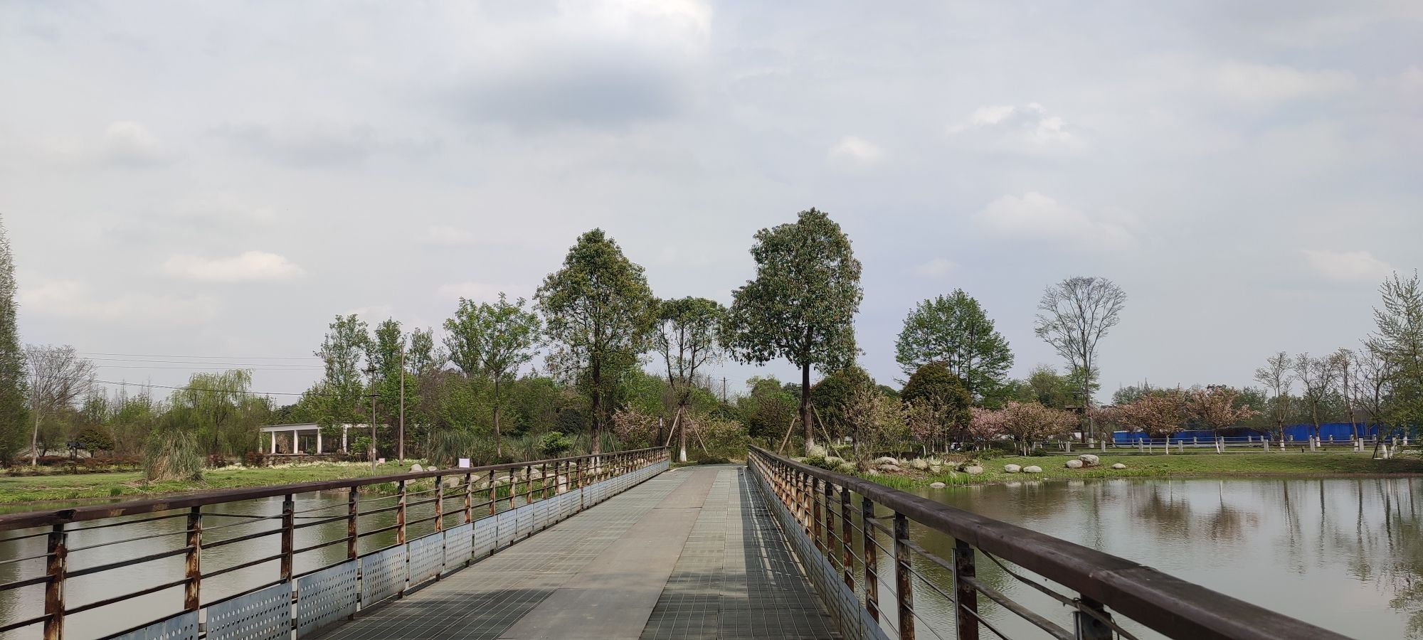 云桥湿地公园旅行图片 3