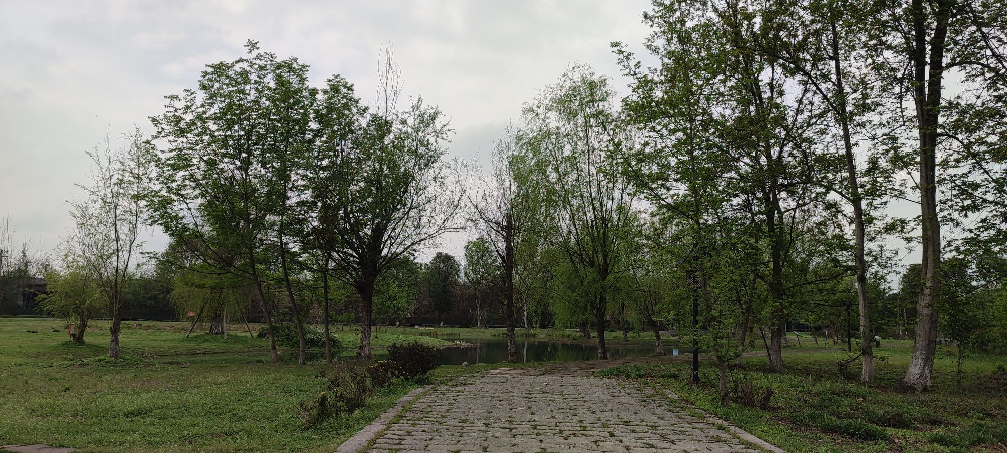 云桥湿地公园旅行图片 1
