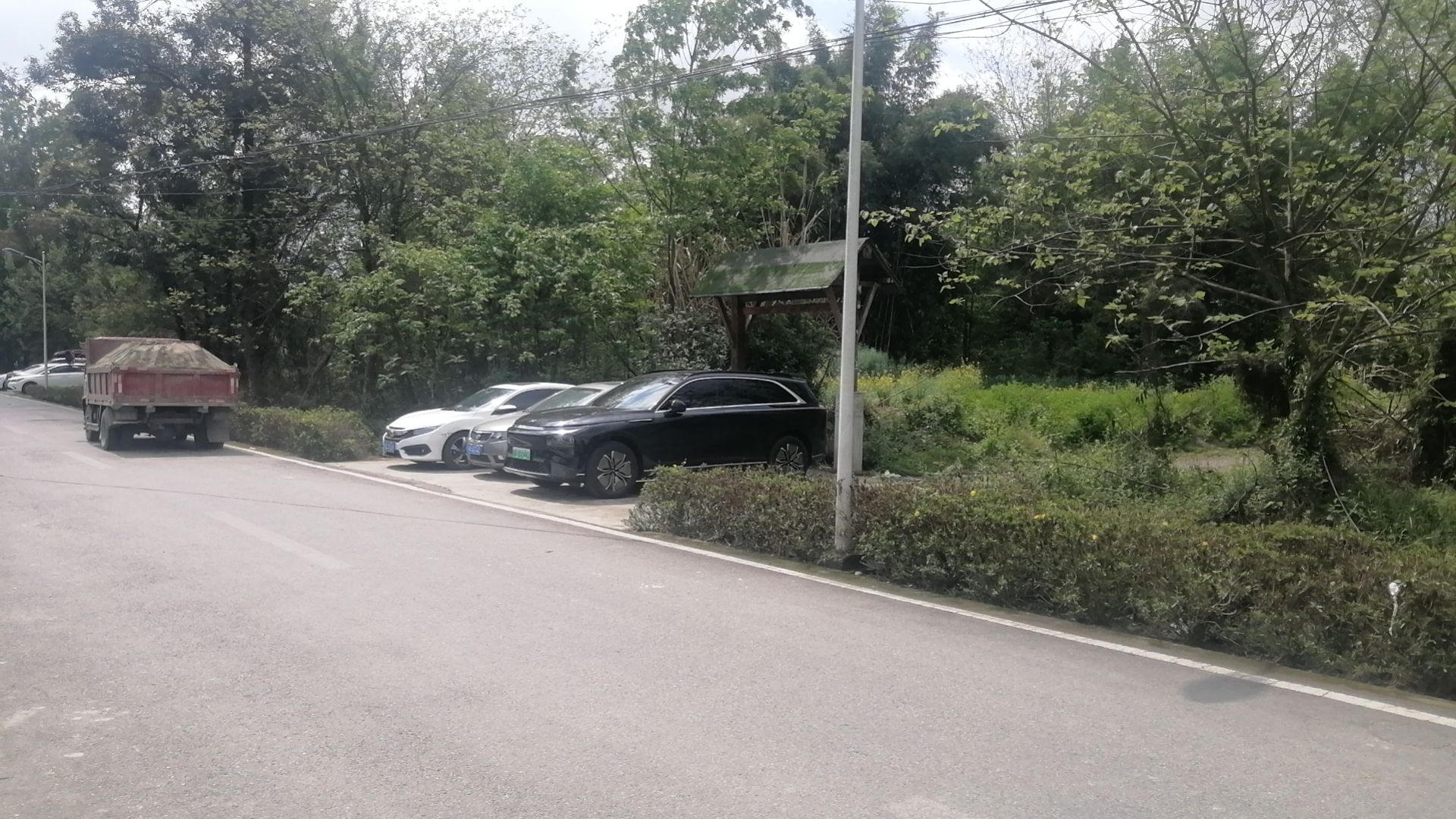 云桥湿地公园旅行图片 2