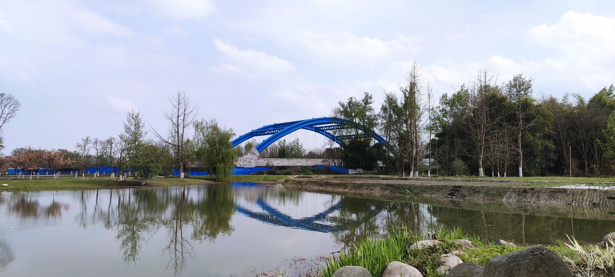 云桥湿地公园旅行图片 2