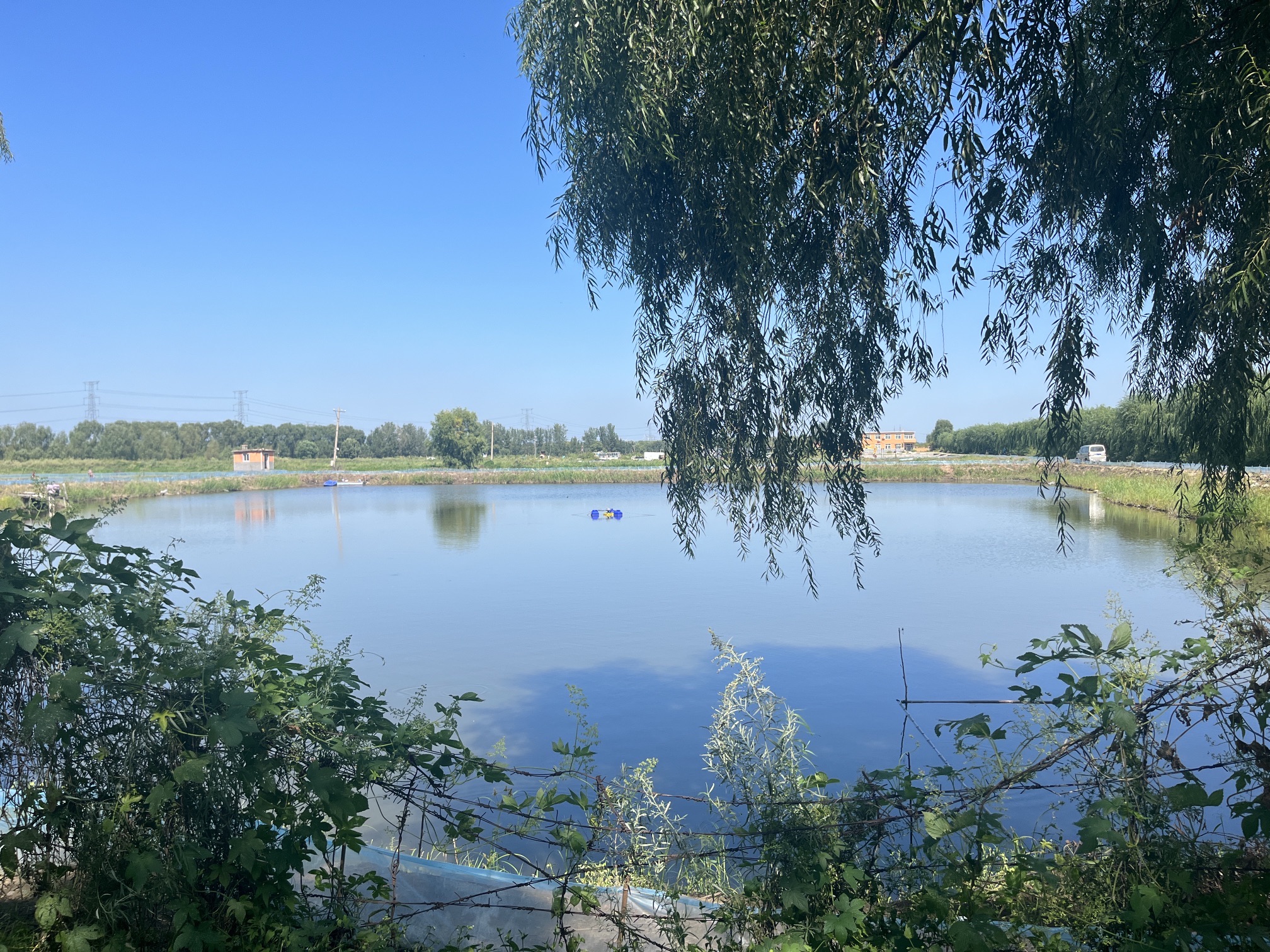 铁岭五角湖风景区旅行图片 1