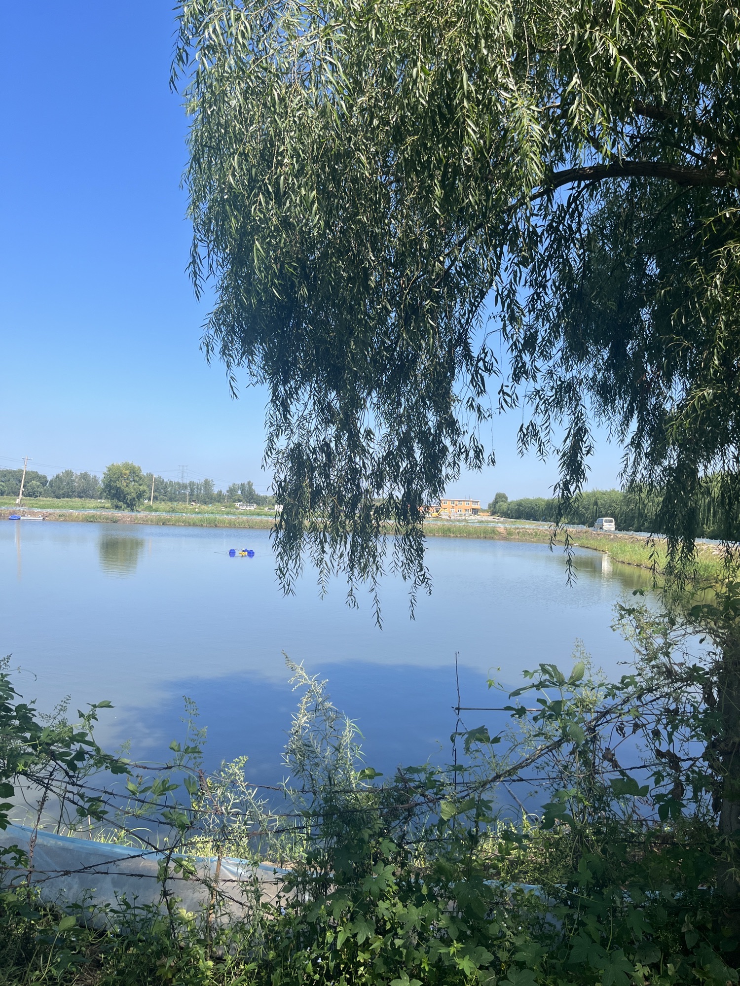 铁岭五角湖风景区旅行图片 2