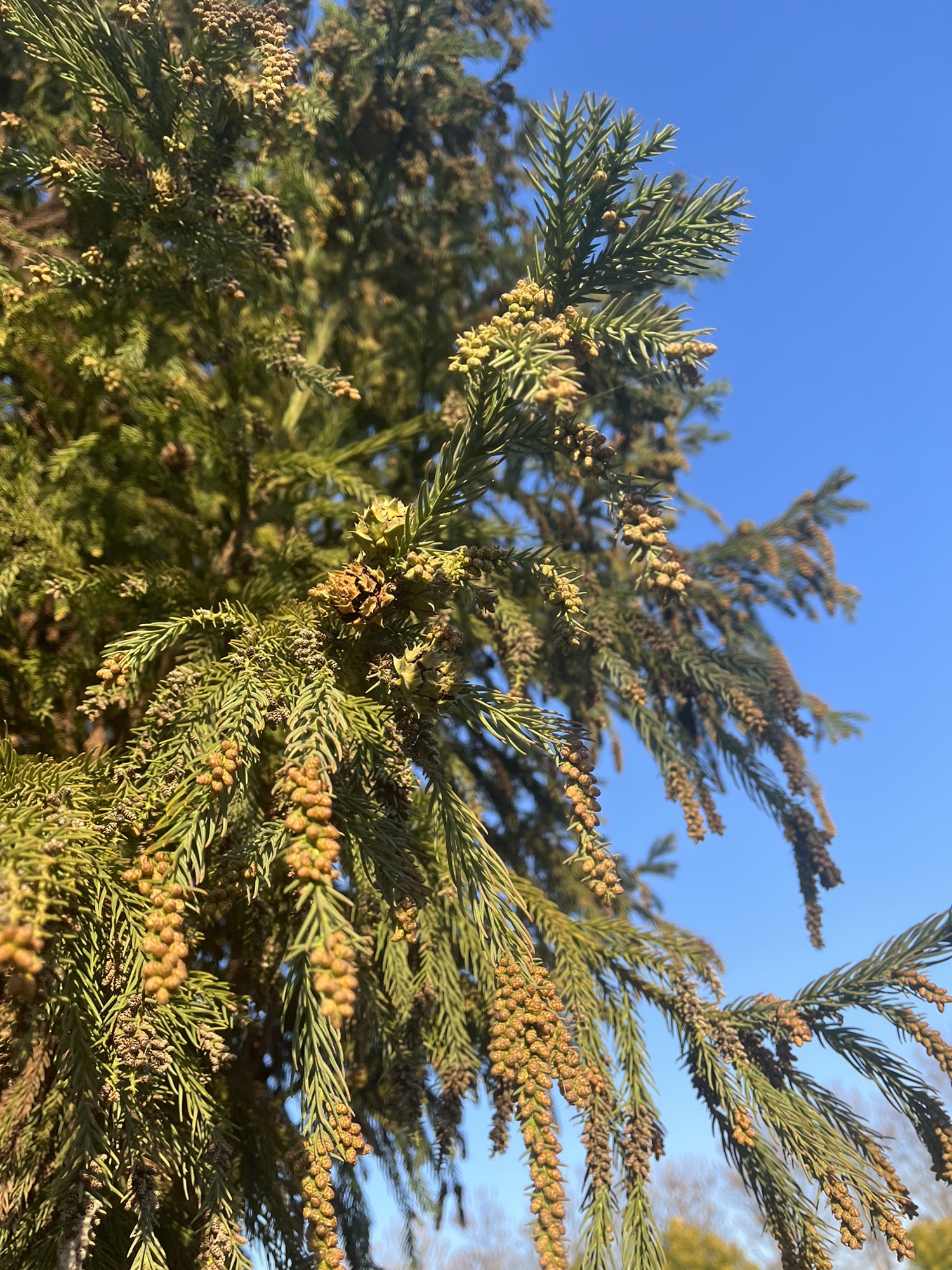 运粮河公园旅行图片 2