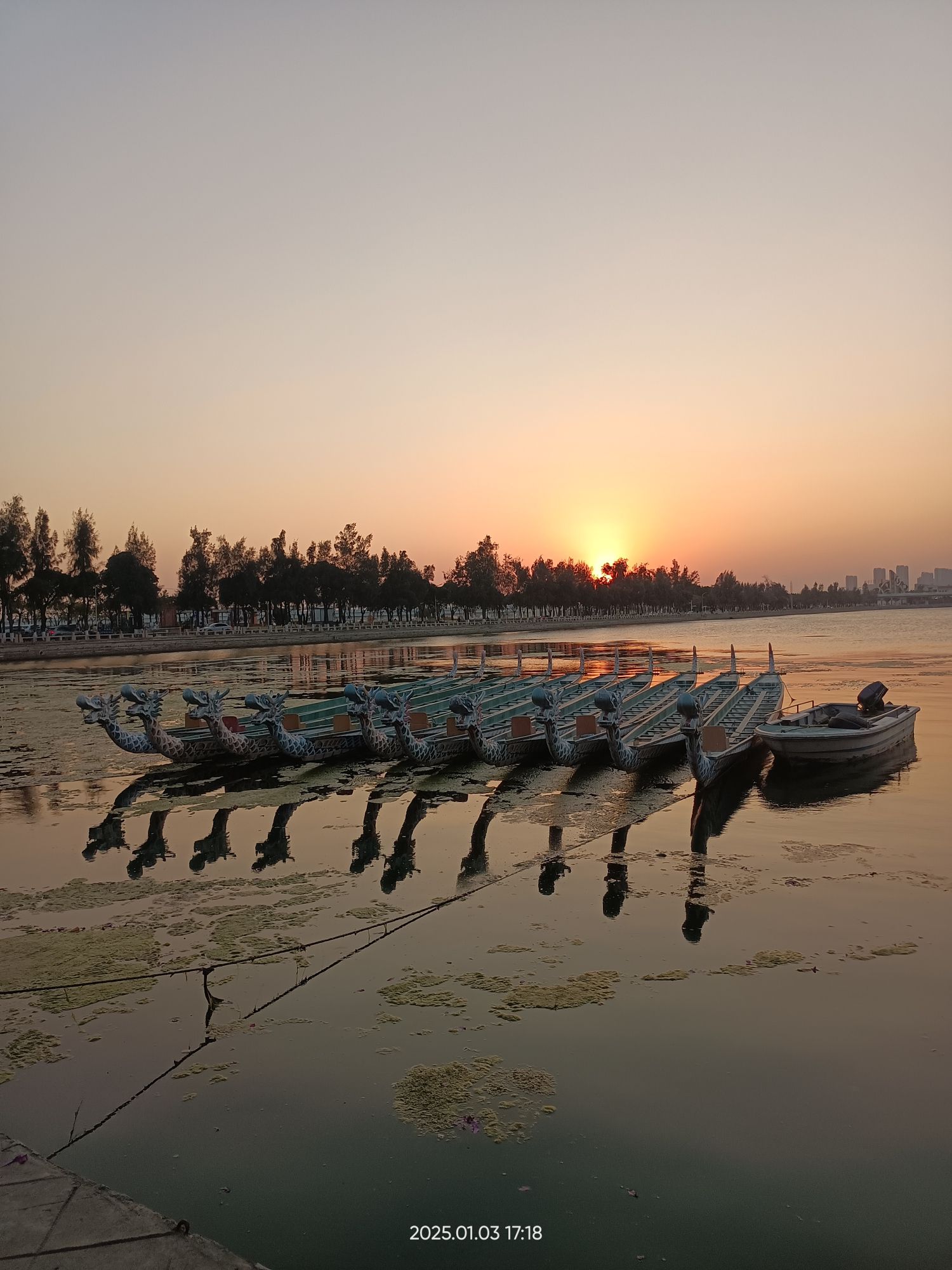 南堤公园旅行图片 3