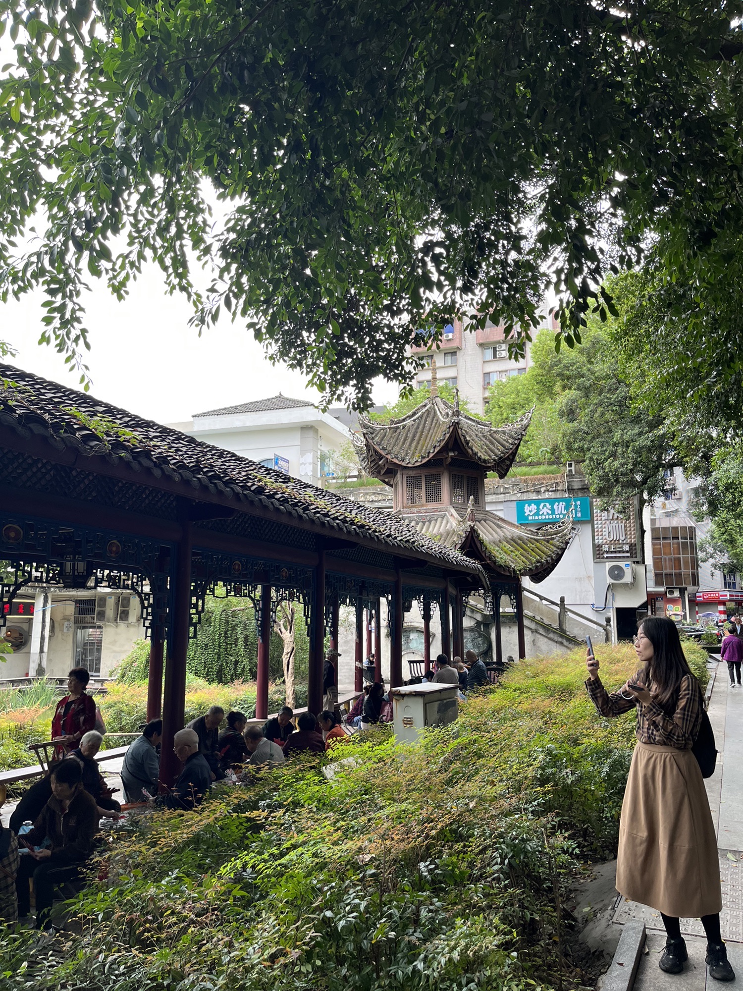 海棠公园旅行图片 3