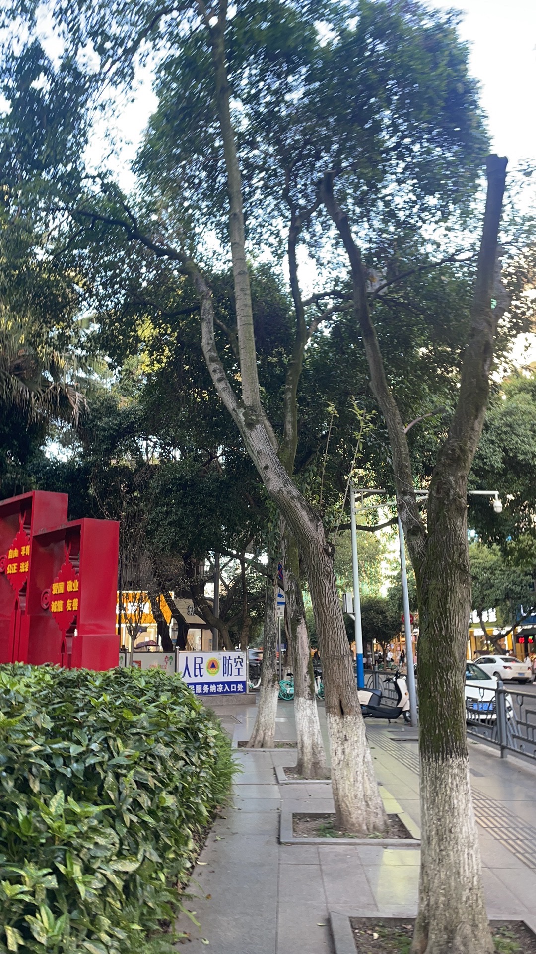 海棠公园旅行图片 2