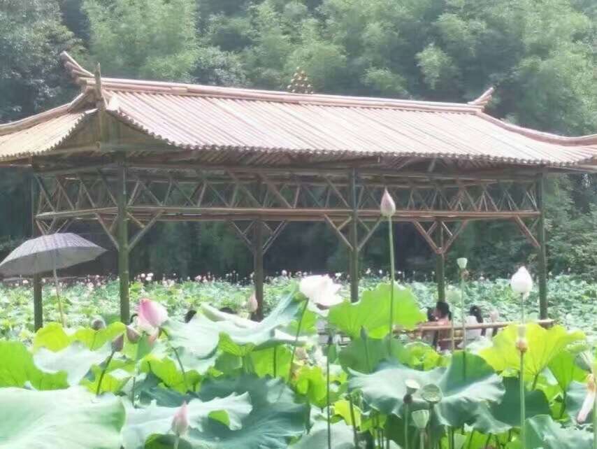 海棠公园旅行图片 3