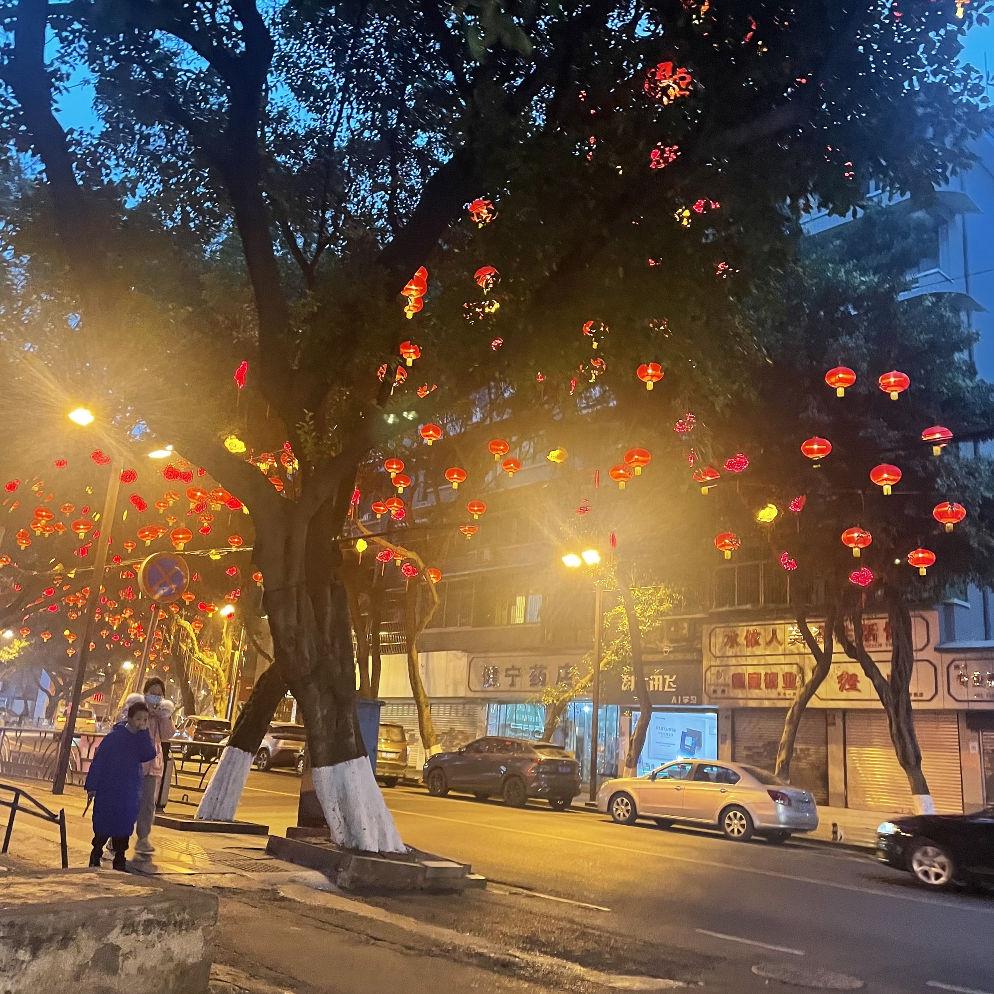 海棠公园旅行图片 1