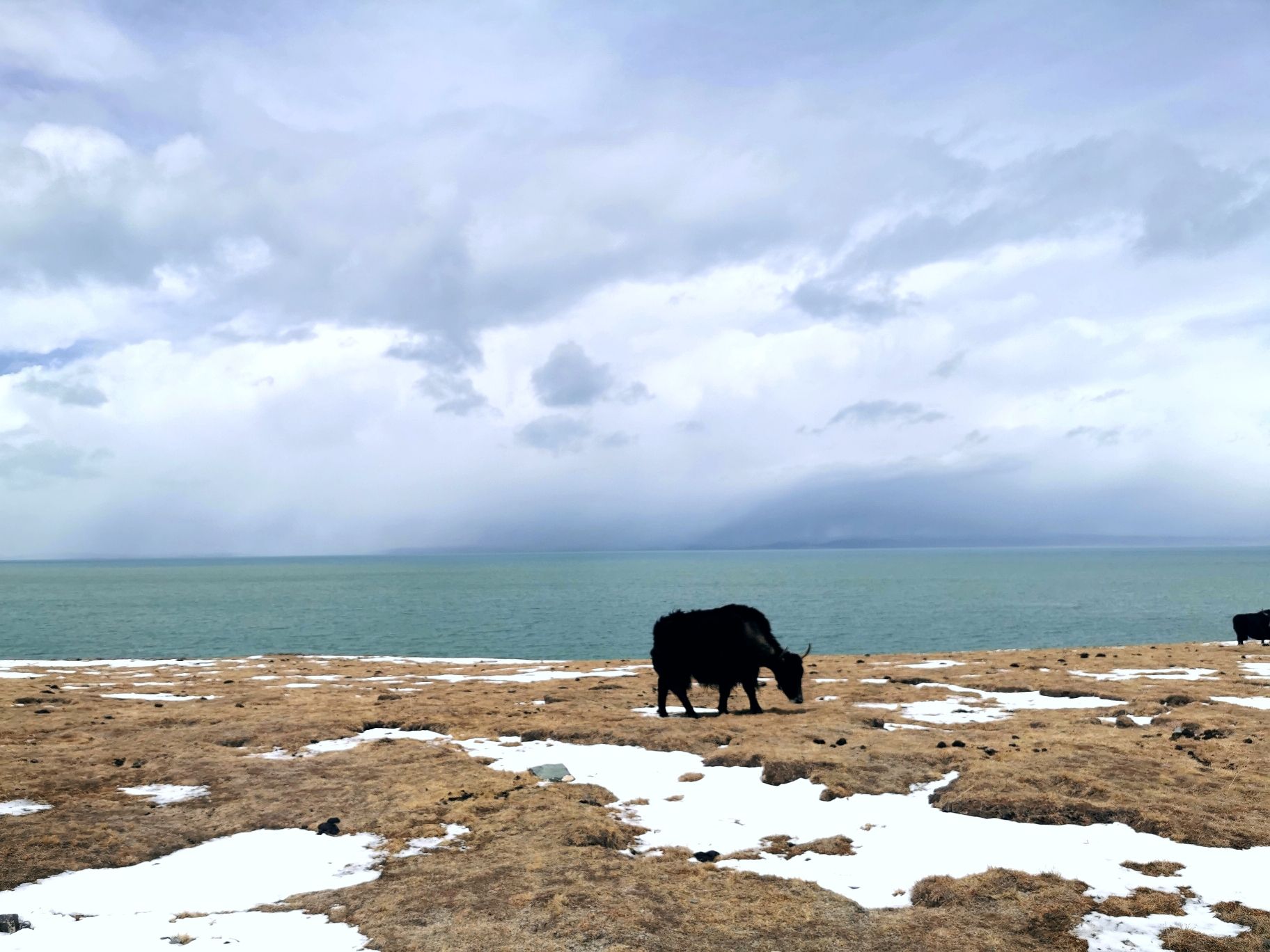 扎陵湖(不对外开放)