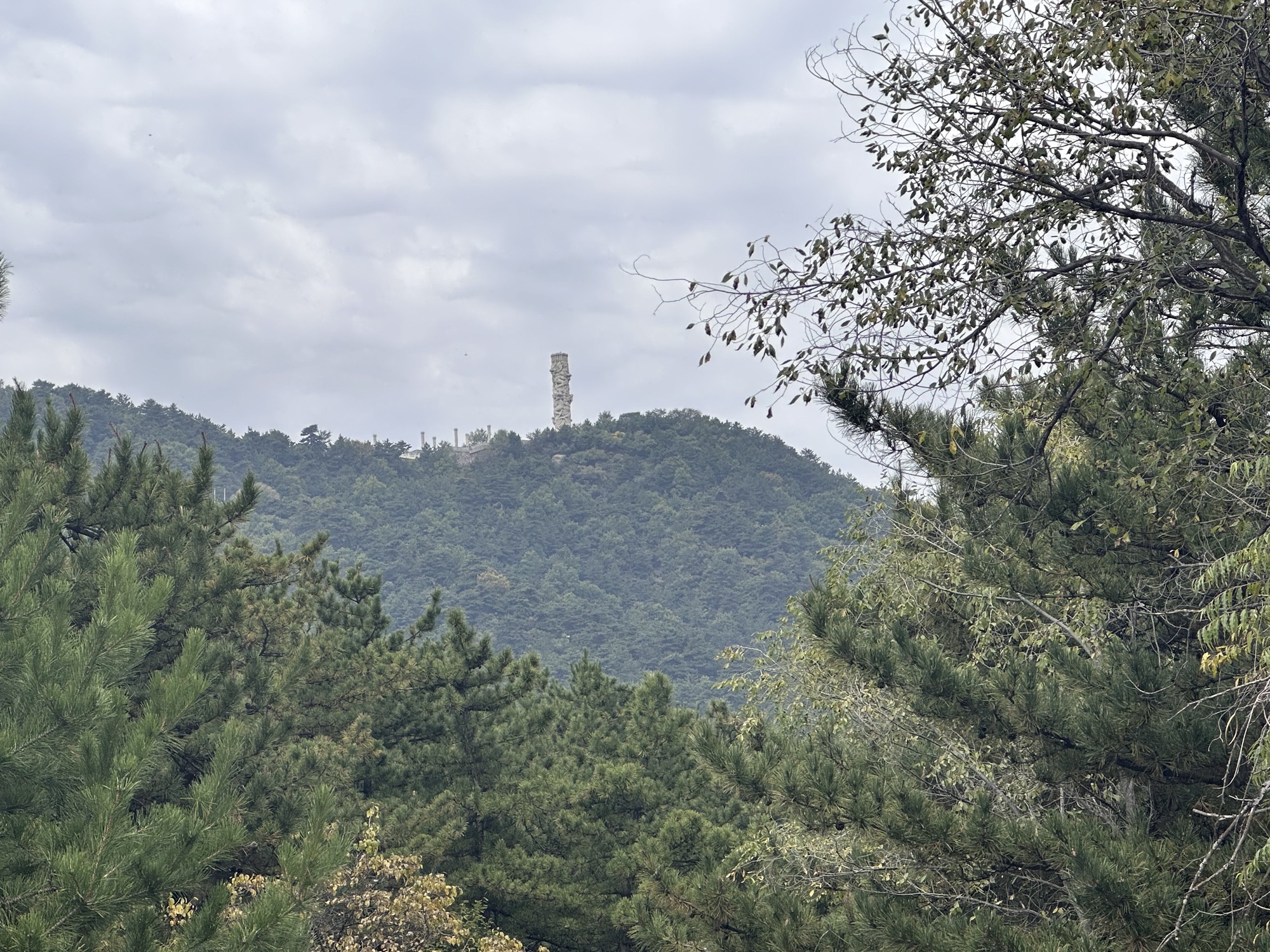 云龙山森林公园旅行图片 2