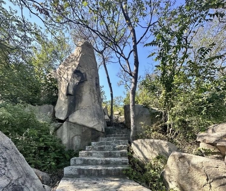 龙山胜境旅行图片 2