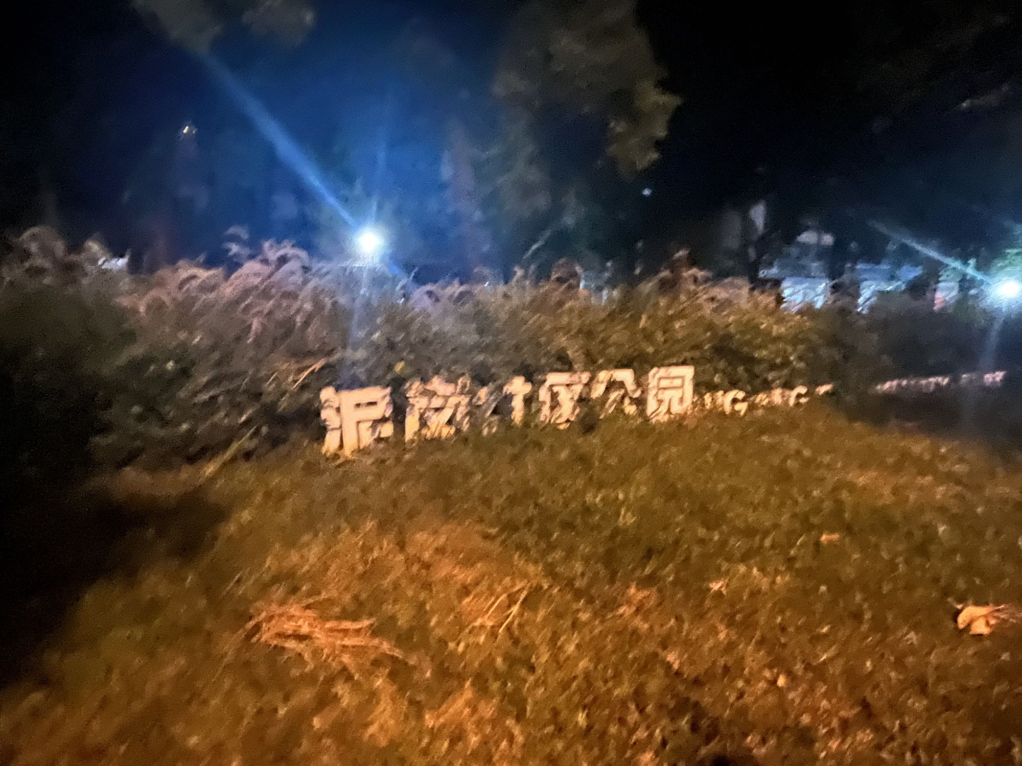 泥岗公园旅行图片 1