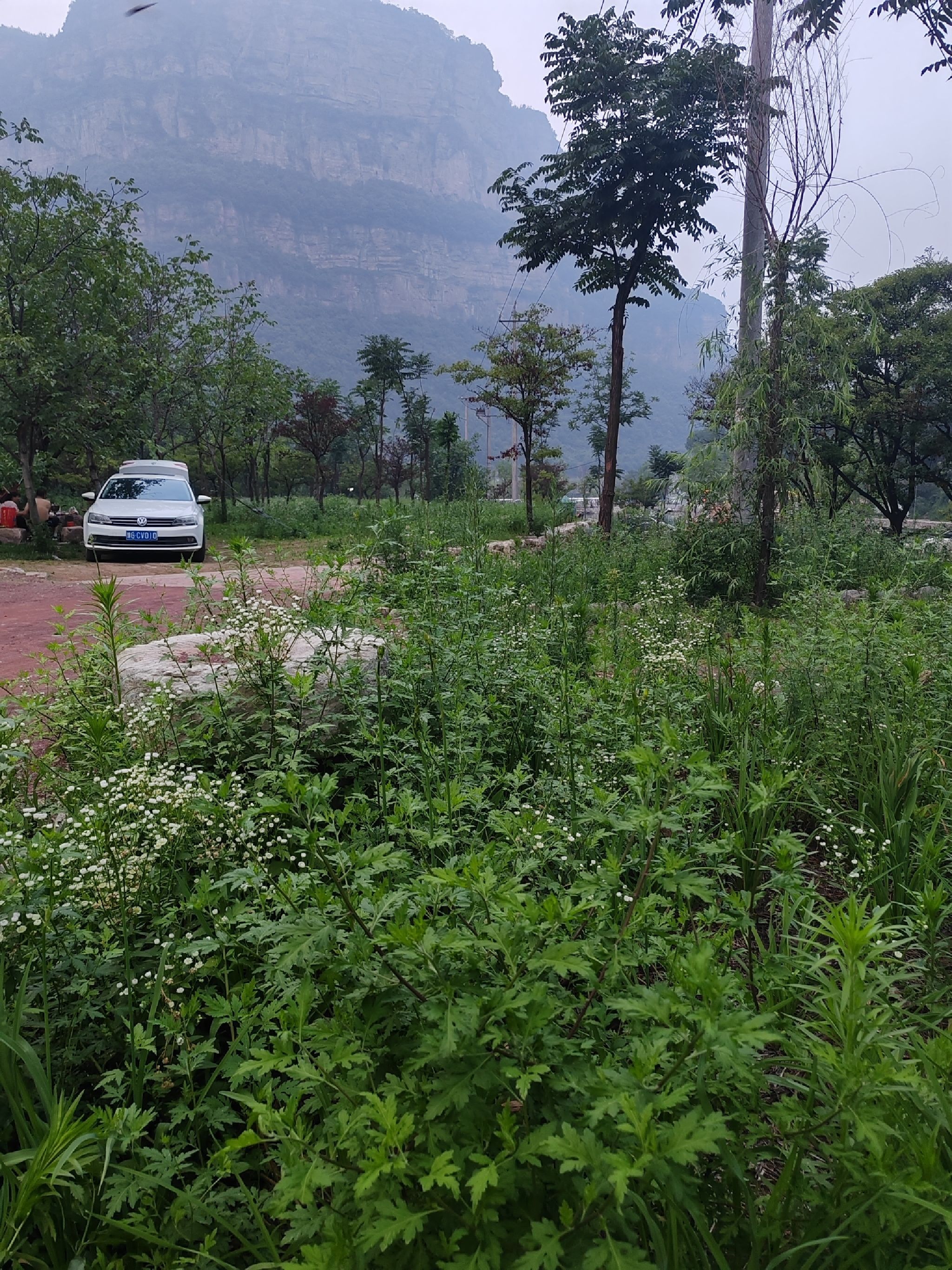 林虑山风景名胜区旅行图片 1