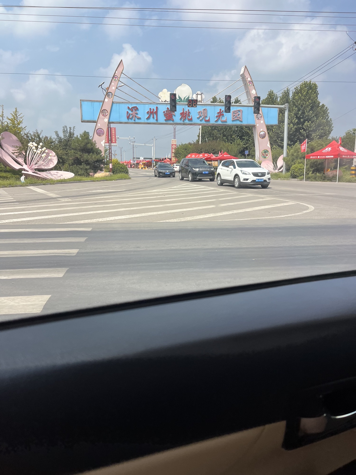 深州蜜桃观光园旅行图片 3