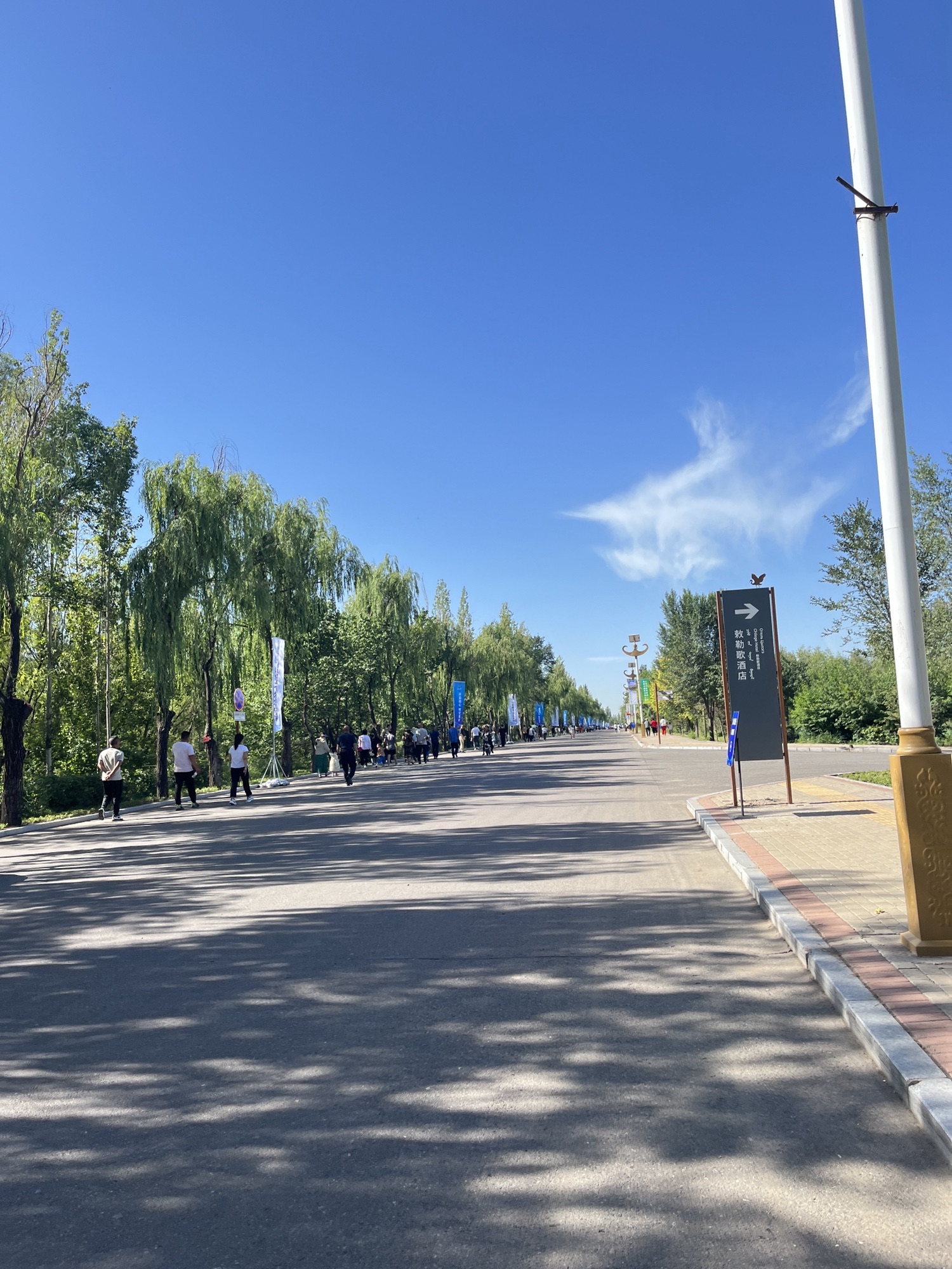 哈素海旅游景区旅行图片 1
