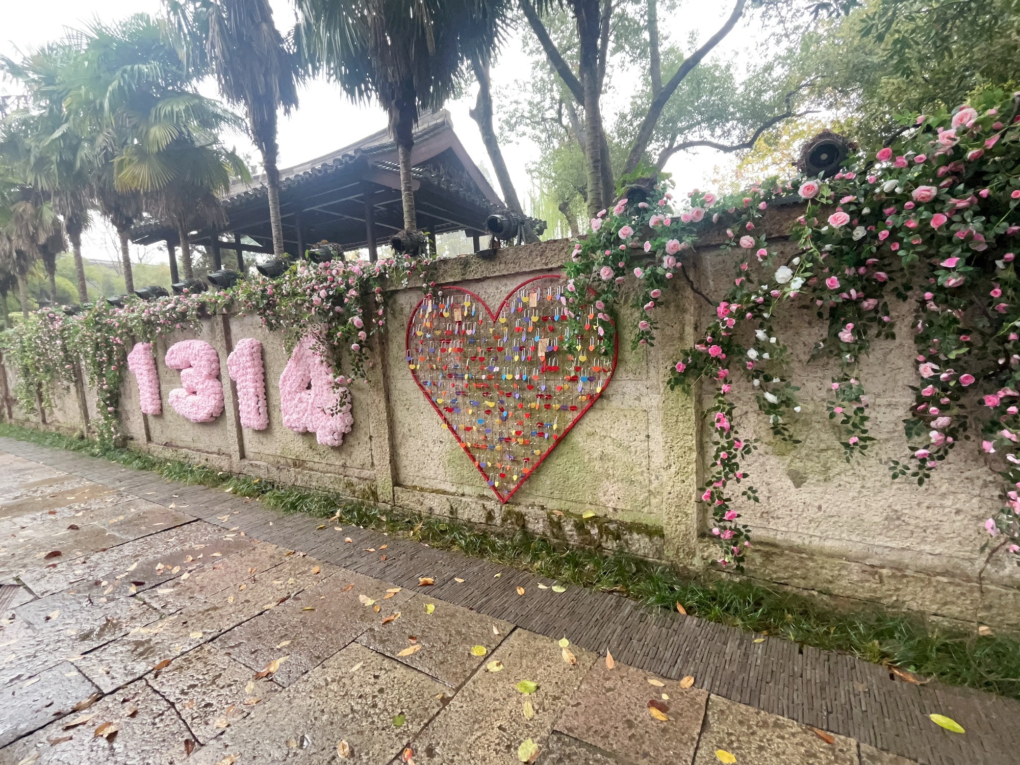 沈氏园旅行图片 1