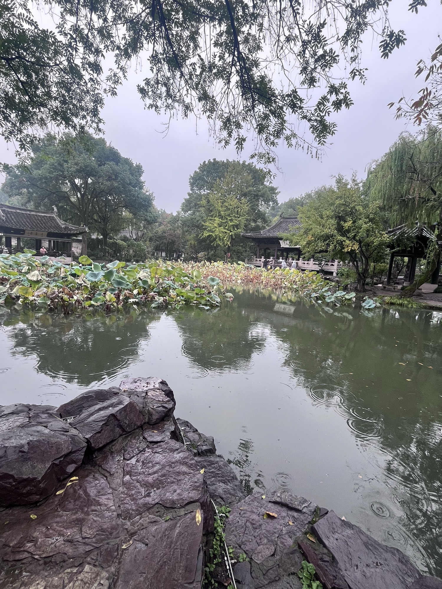 沈氏园旅行图片 2