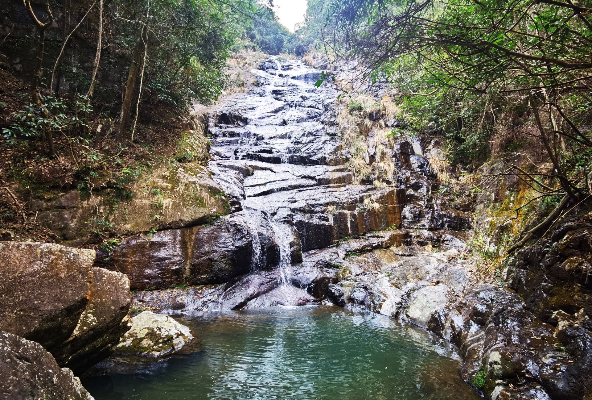 永嘉五星潭森林公园旅行图片 1