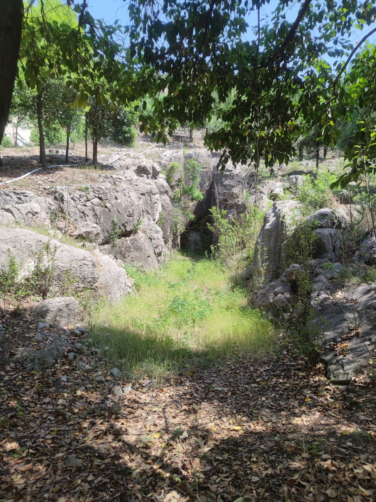 南洞山汉墓旅行图片 2