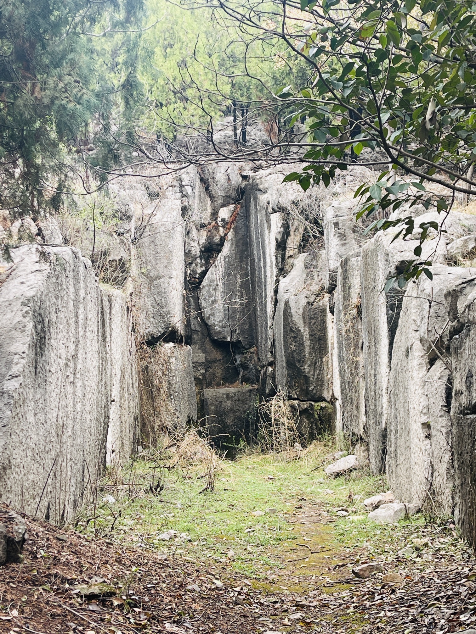 南洞山汉墓旅行图片 1