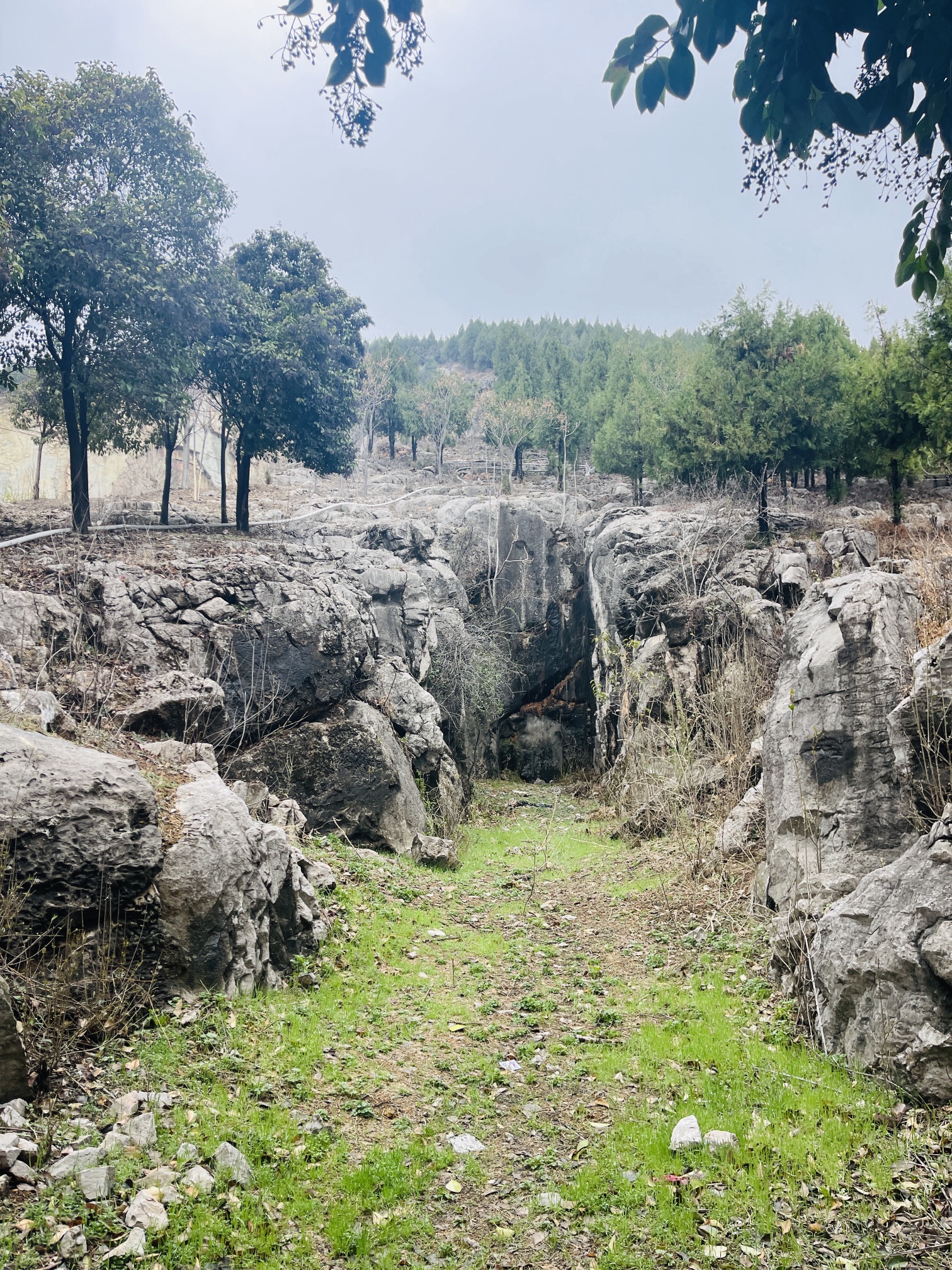 南洞山汉墓旅行图片 3