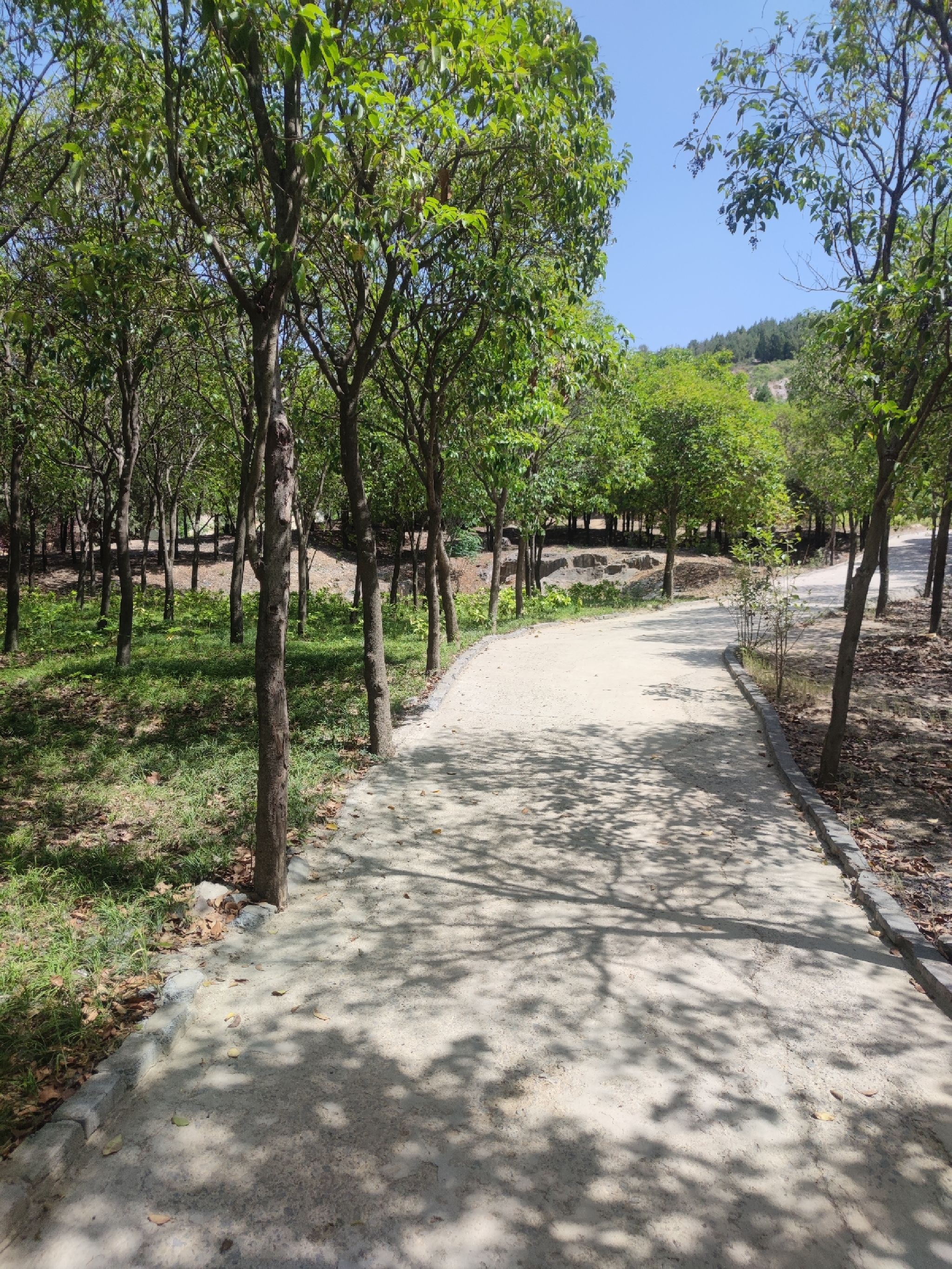 南洞山汉墓旅行图片 1