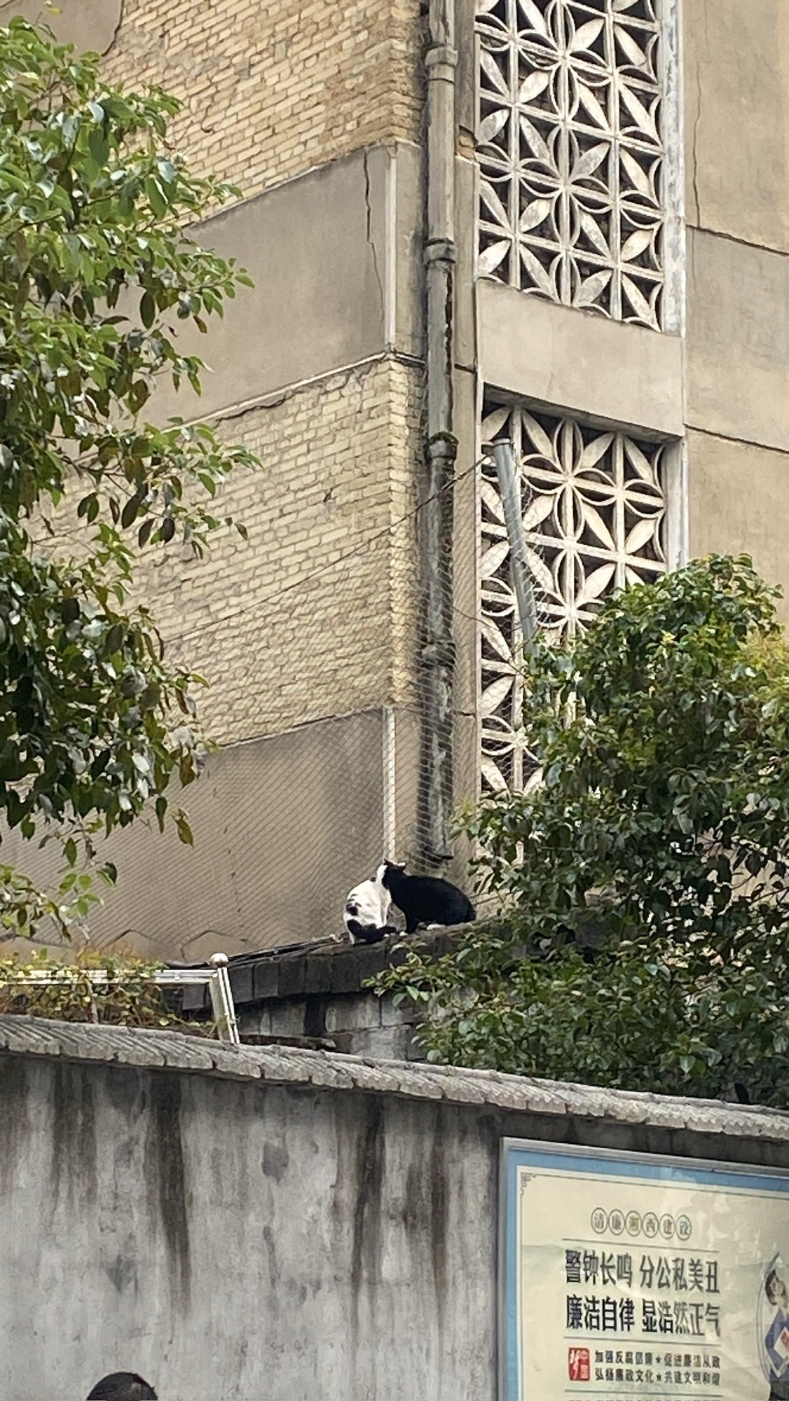 火车头文化公园旅行图片 2