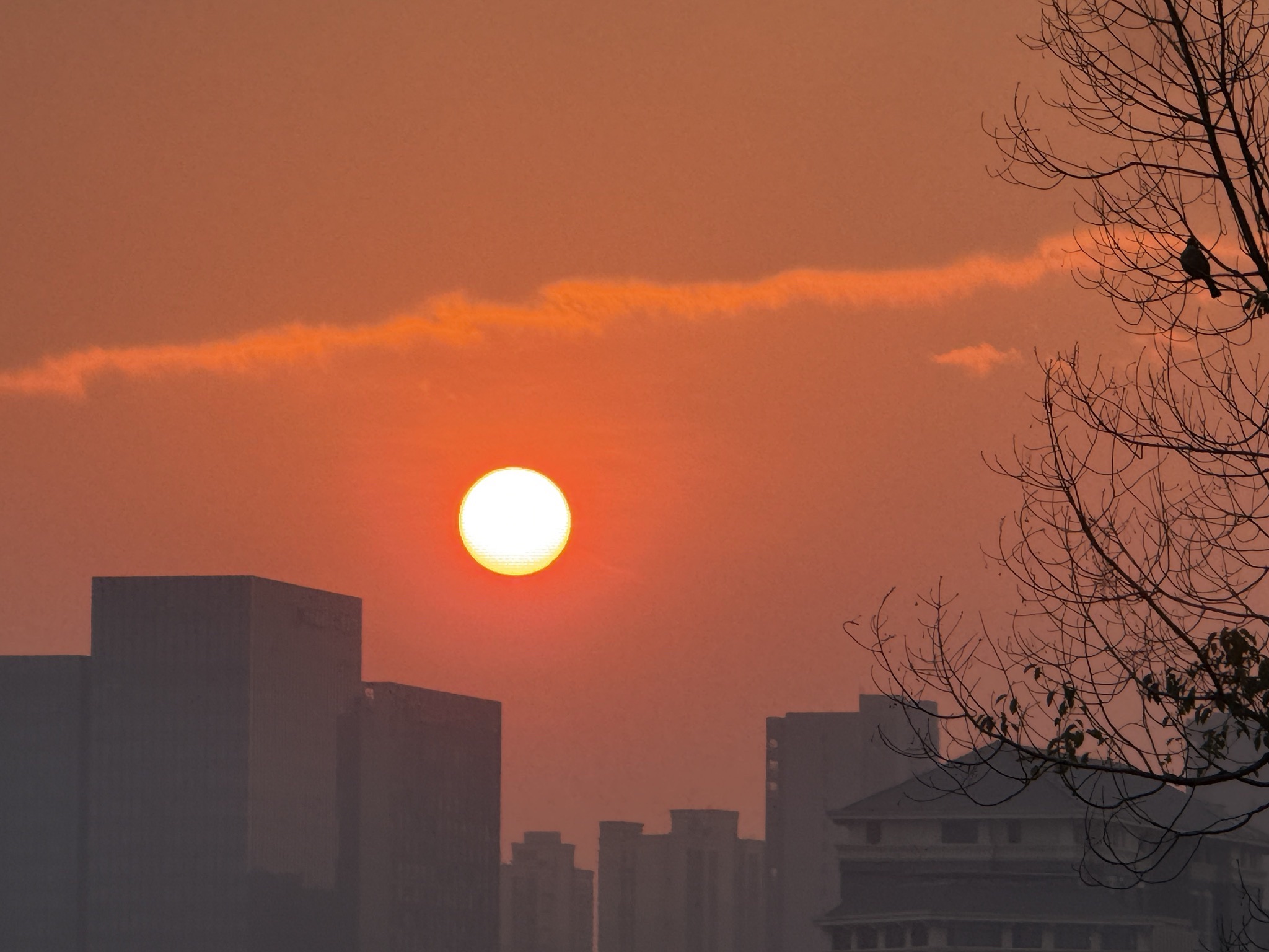 火车头文化公园旅行图片 3