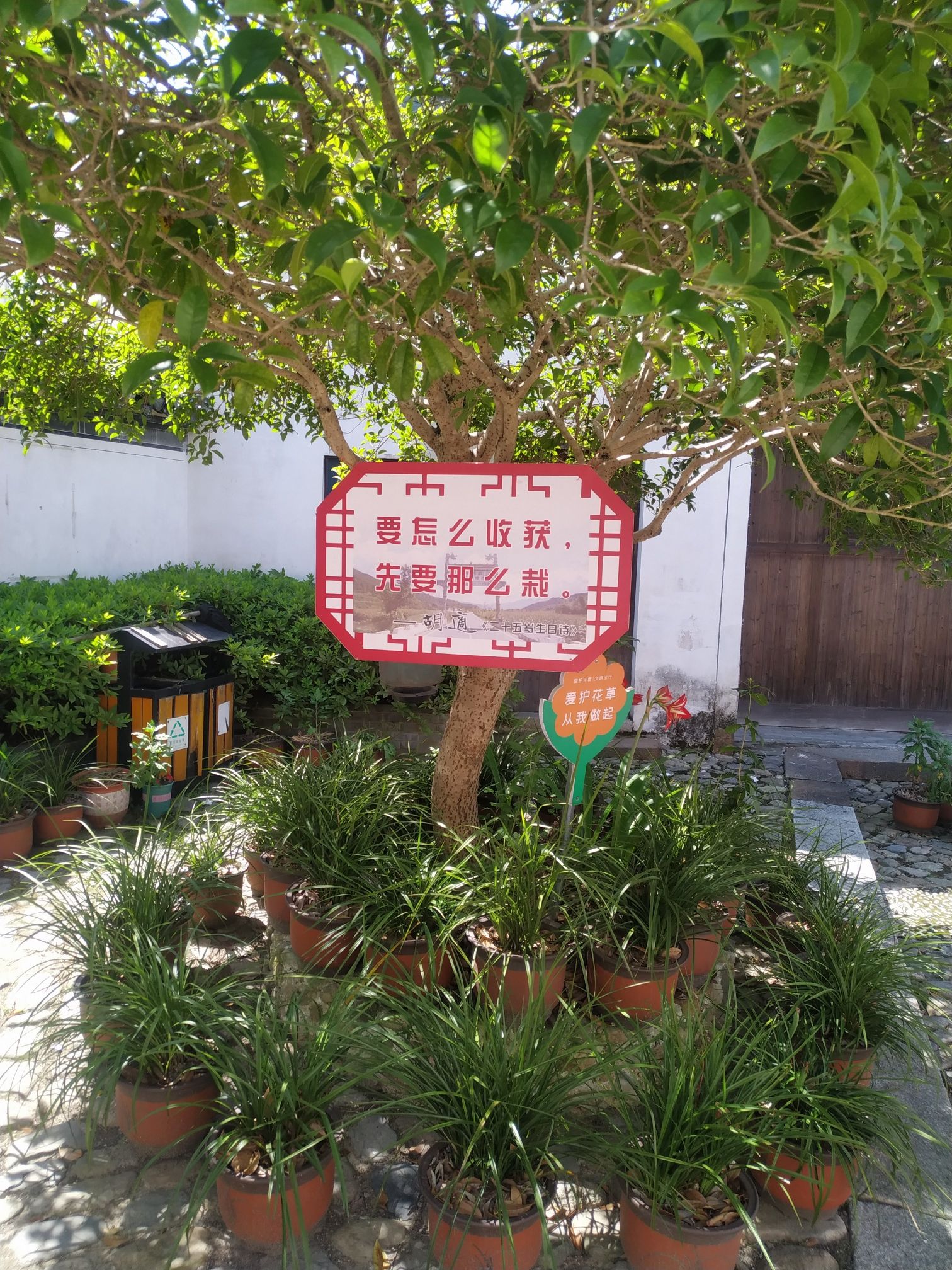 绩溪上庄景区旅行图片 3