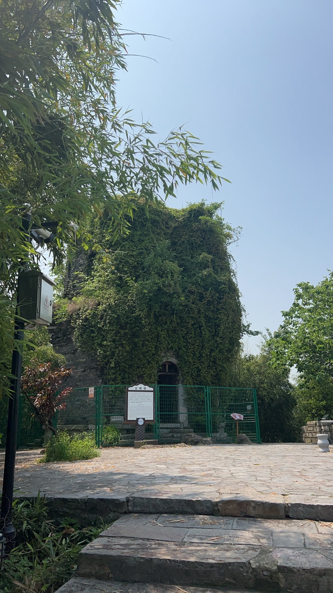 板子矶景区旅行图片 3