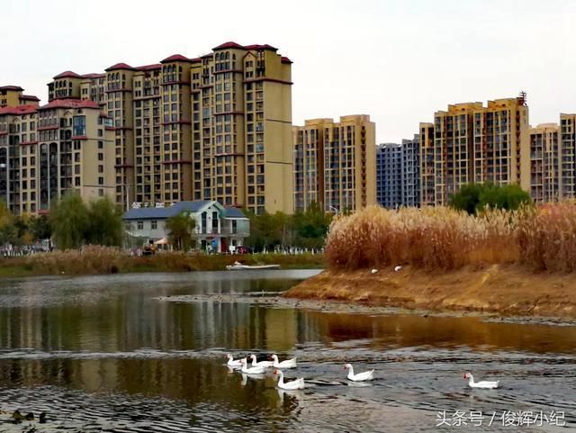 扶沟县人民公园旅行图片 1