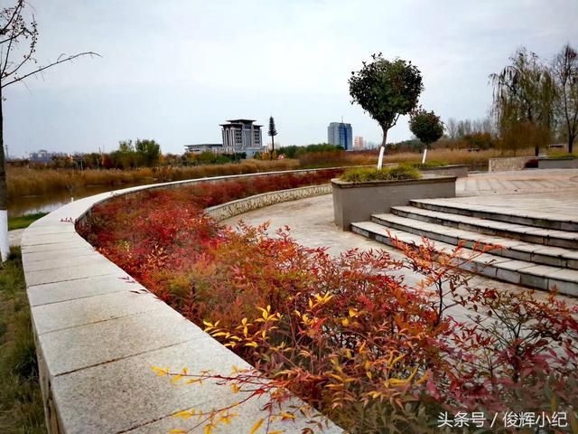扶沟县人民公园旅行图片 2