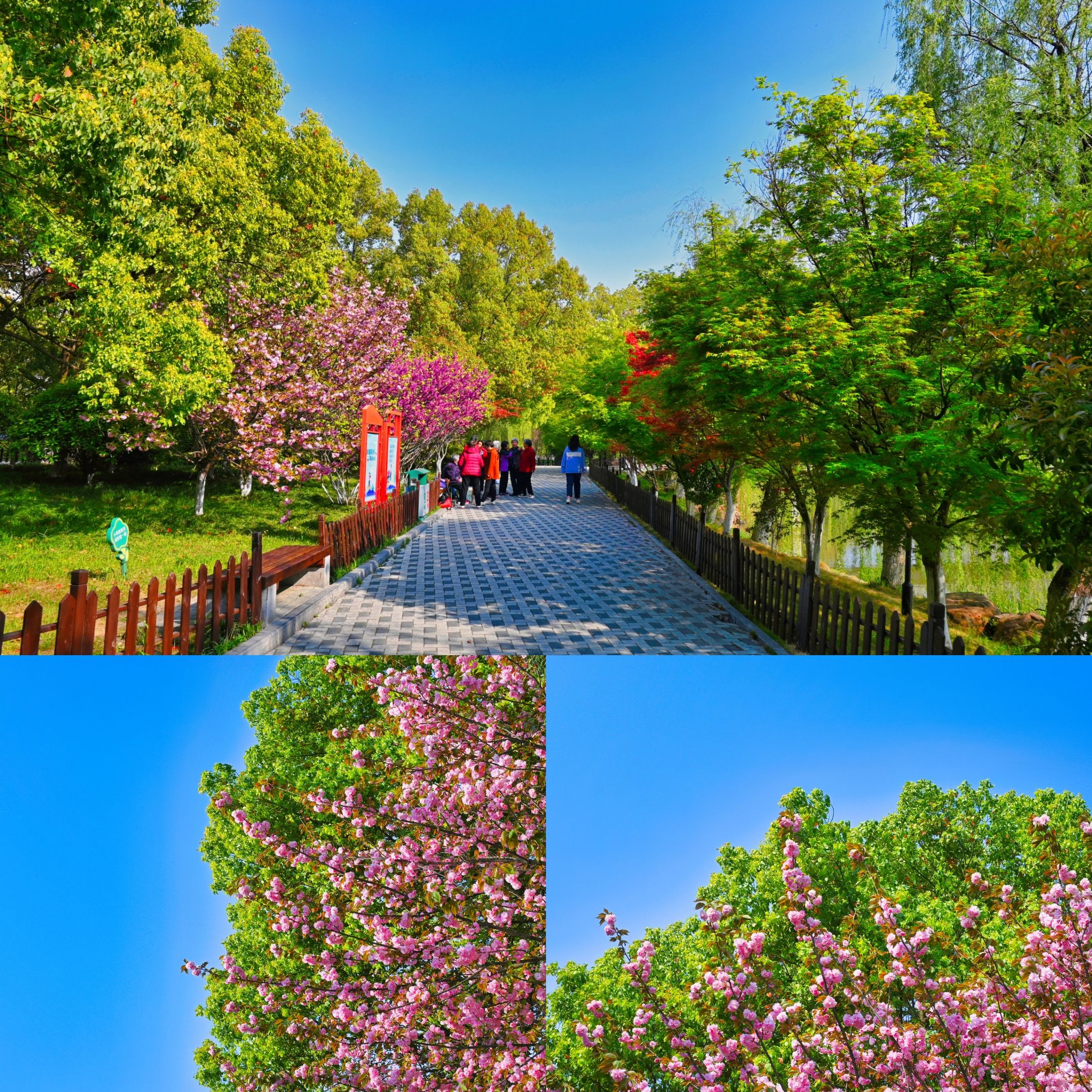 洗耳池公园旅行图片 3