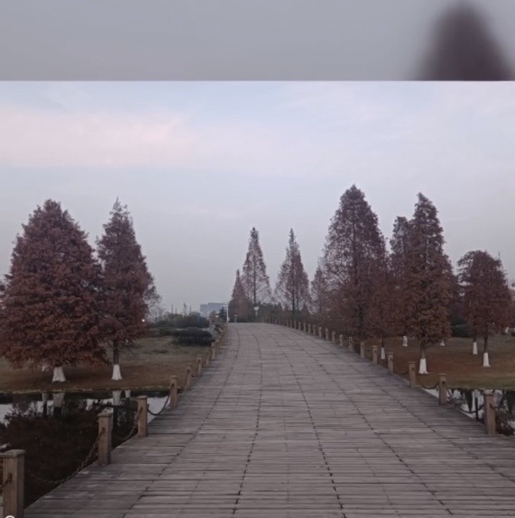 节庆广场旅行图片 2