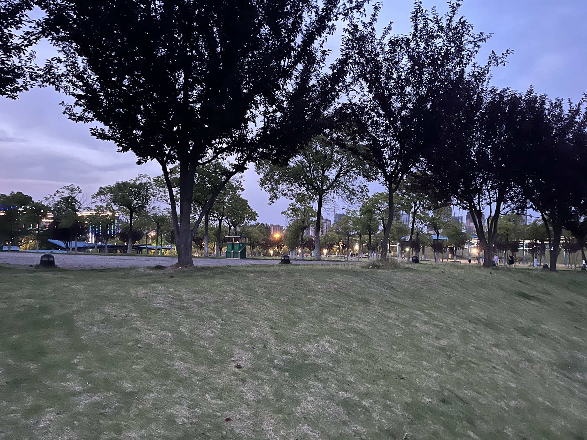 节庆广场旅行图片 2