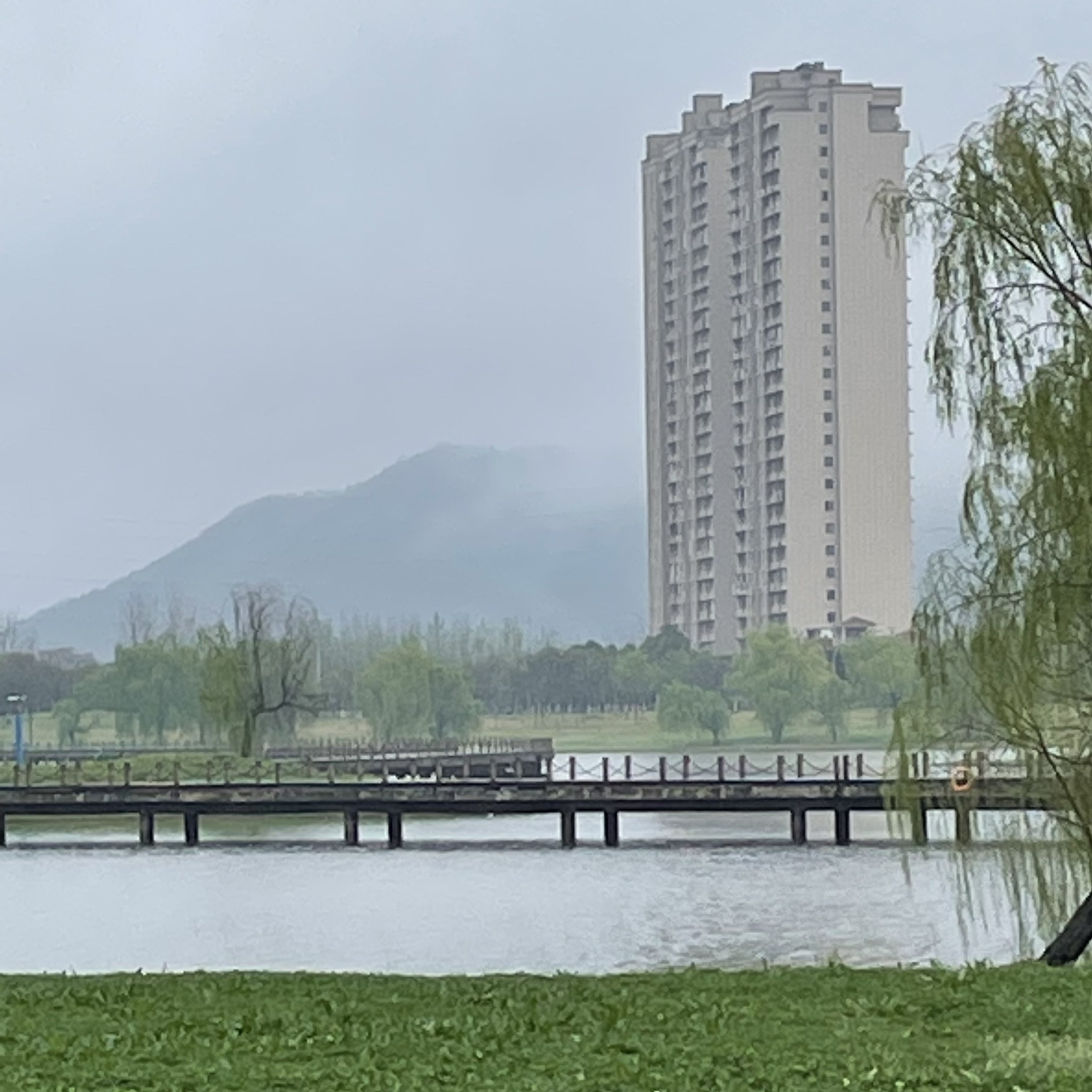 节庆广场旅行图片 2