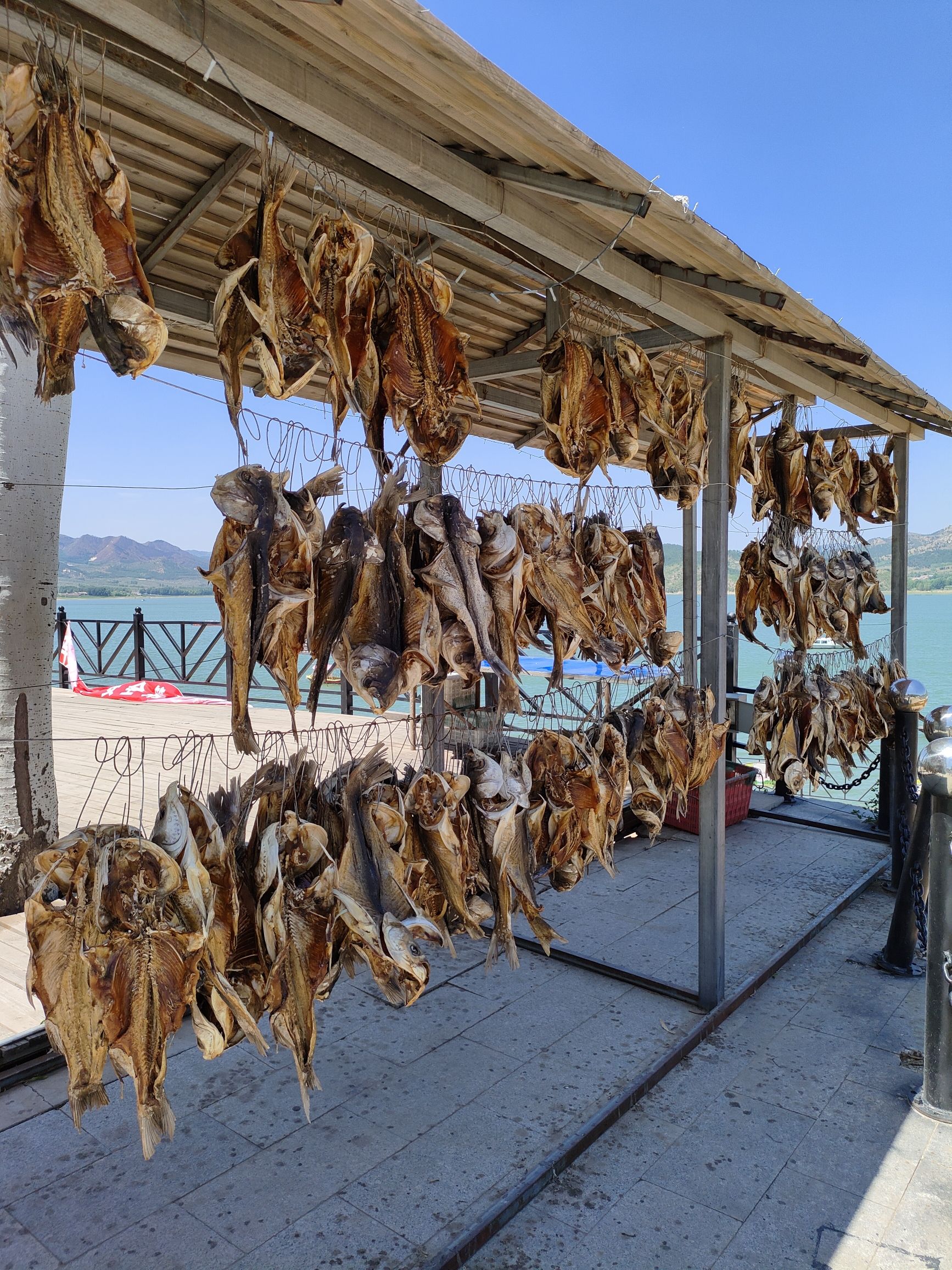 紫蒙湖旅游风景区旅行图片 2