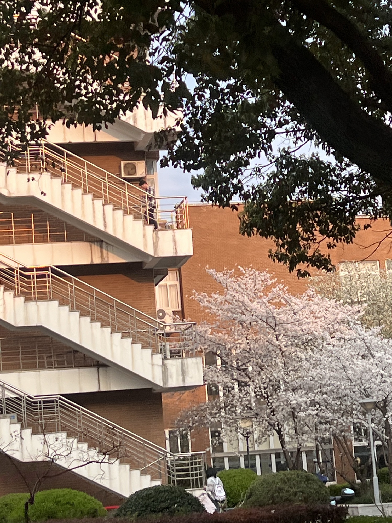 宁波大学西校区