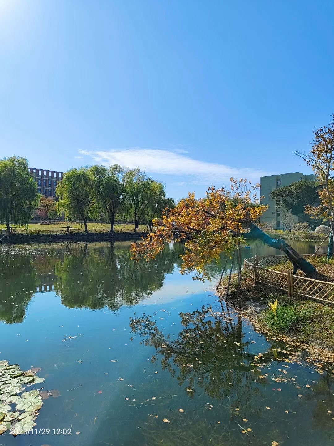 宁波大学西校区