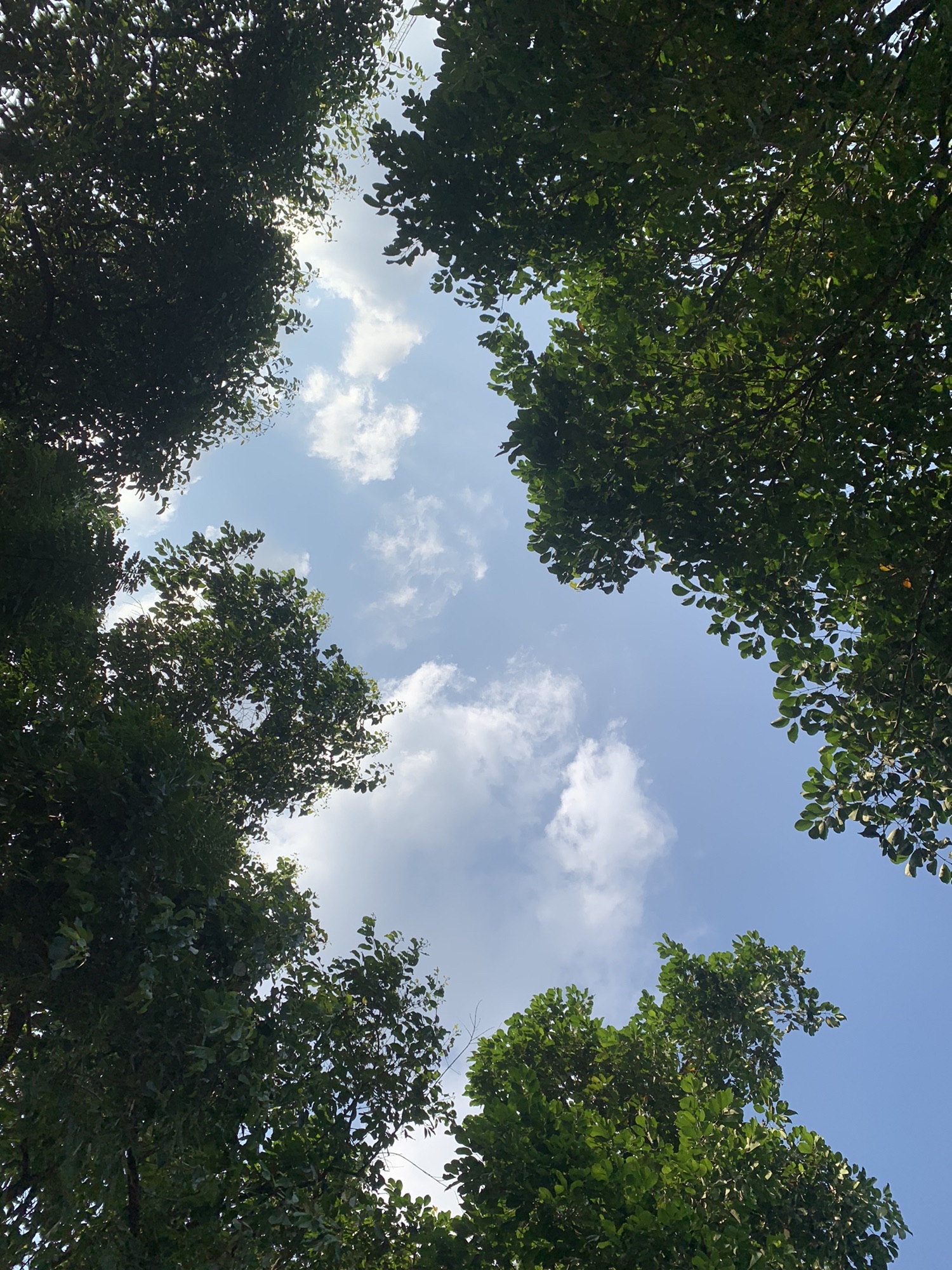 潼侨公园旅行图片 2