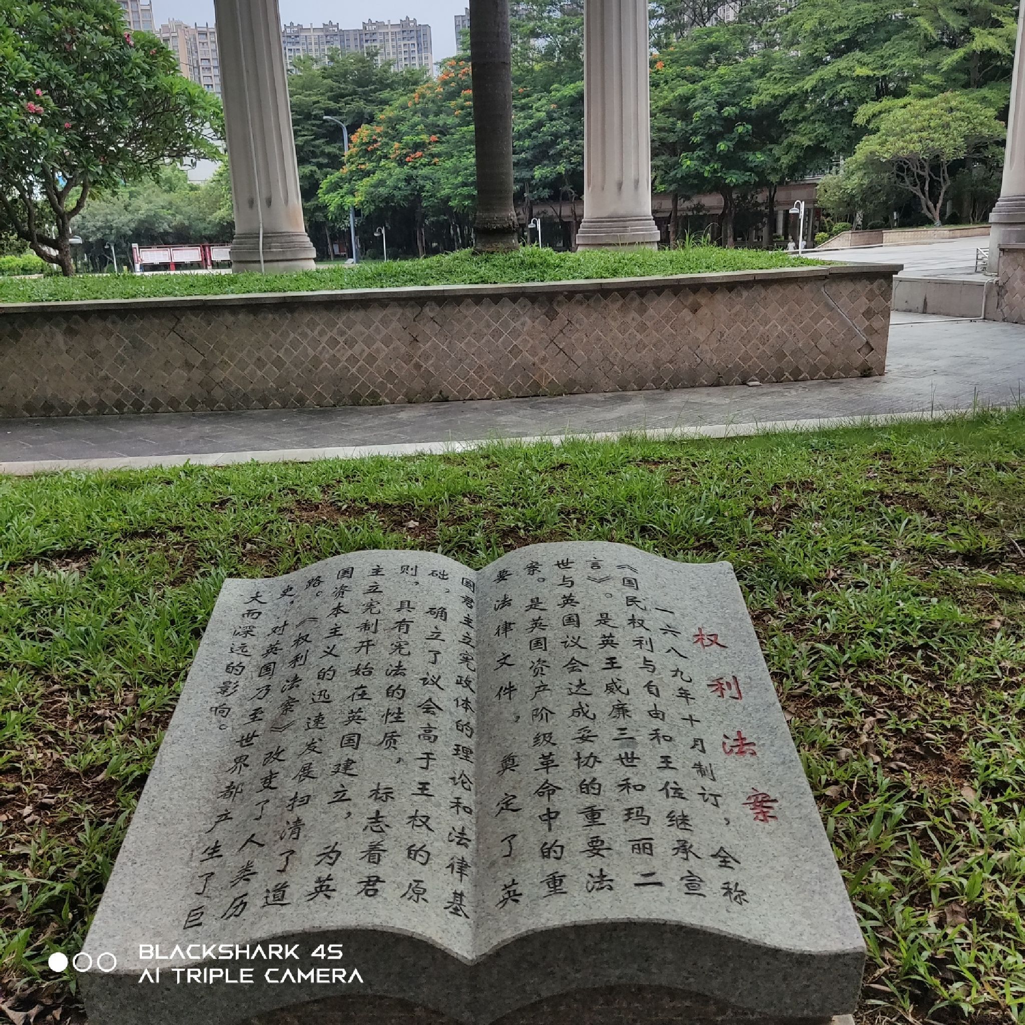 潼侨公园旅行图片 3
