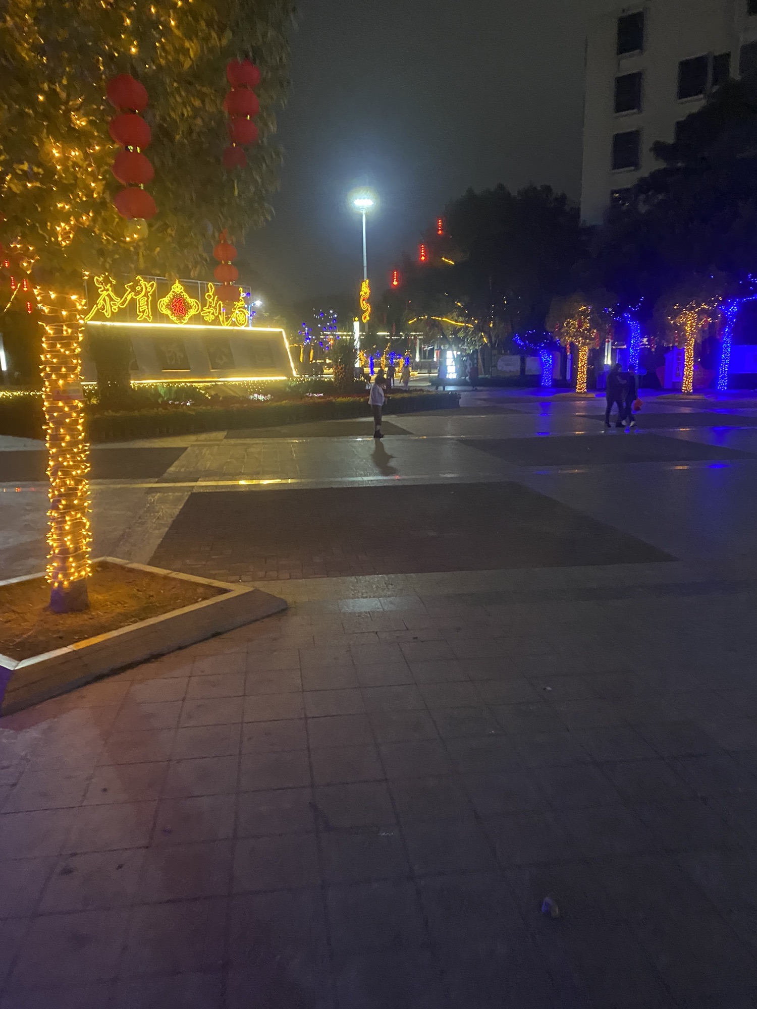 潼侨公园旅行图片 1