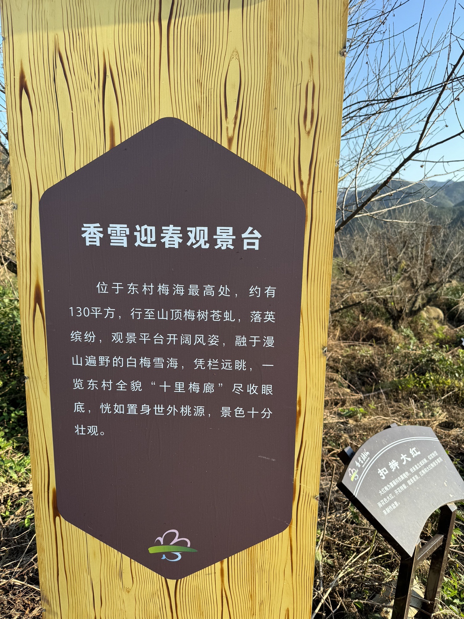 柯桥香雪梅海景区旅行图片 2