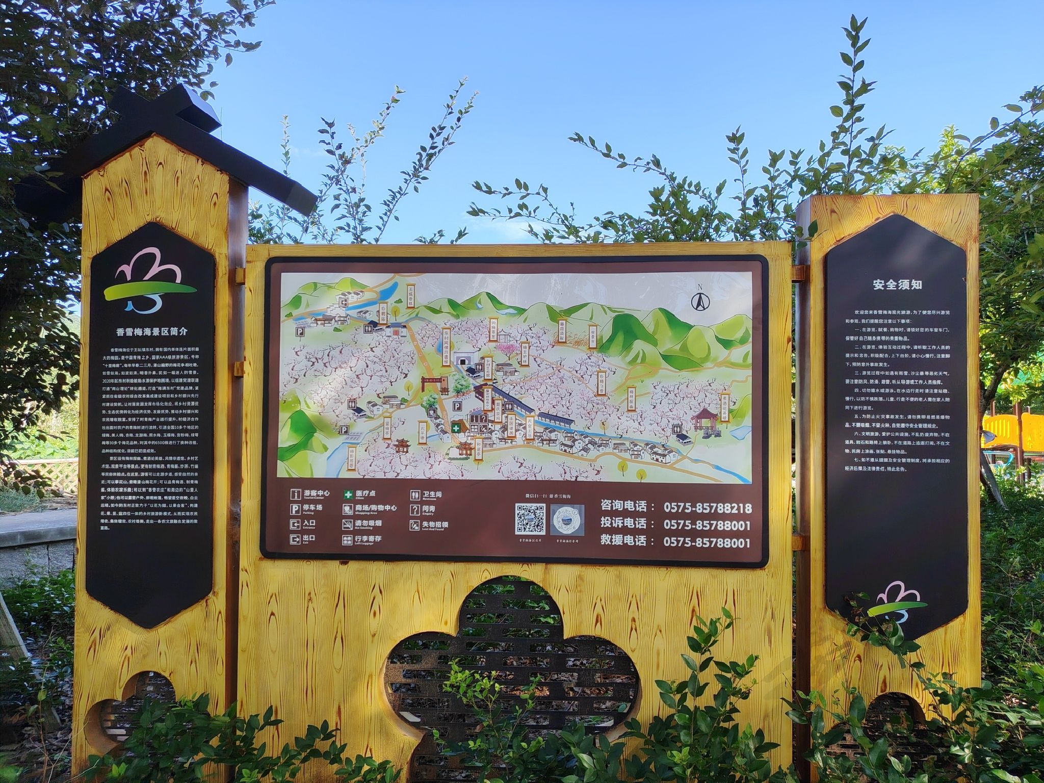 柯桥香雪梅海景区旅行图片 3