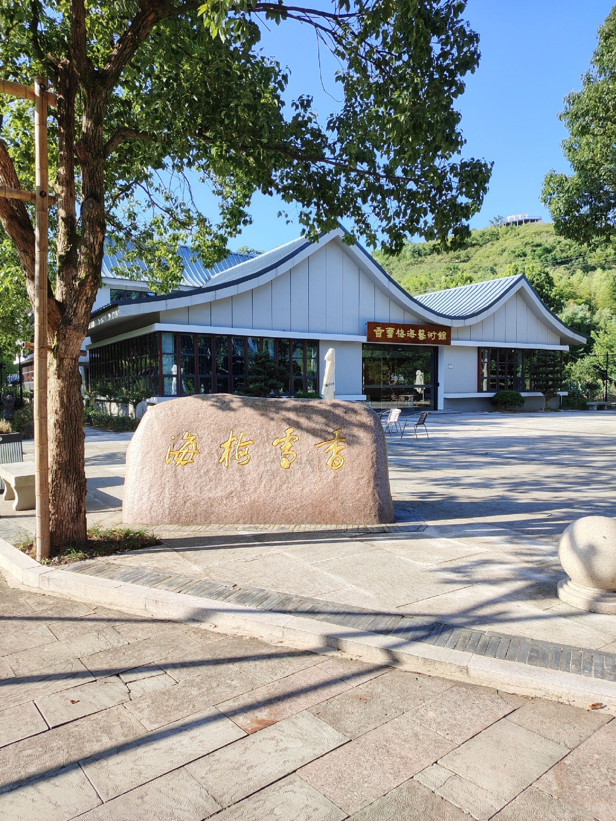 柯桥香雪梅海景区旅行图片 2