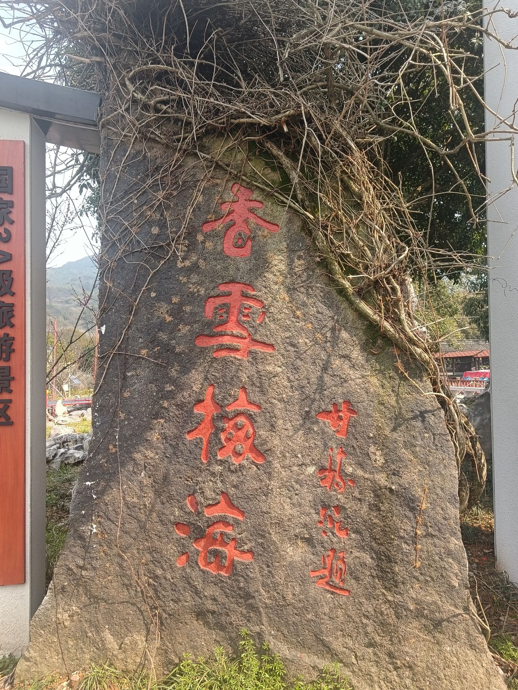 柯桥香雪梅海景区旅行图片 1